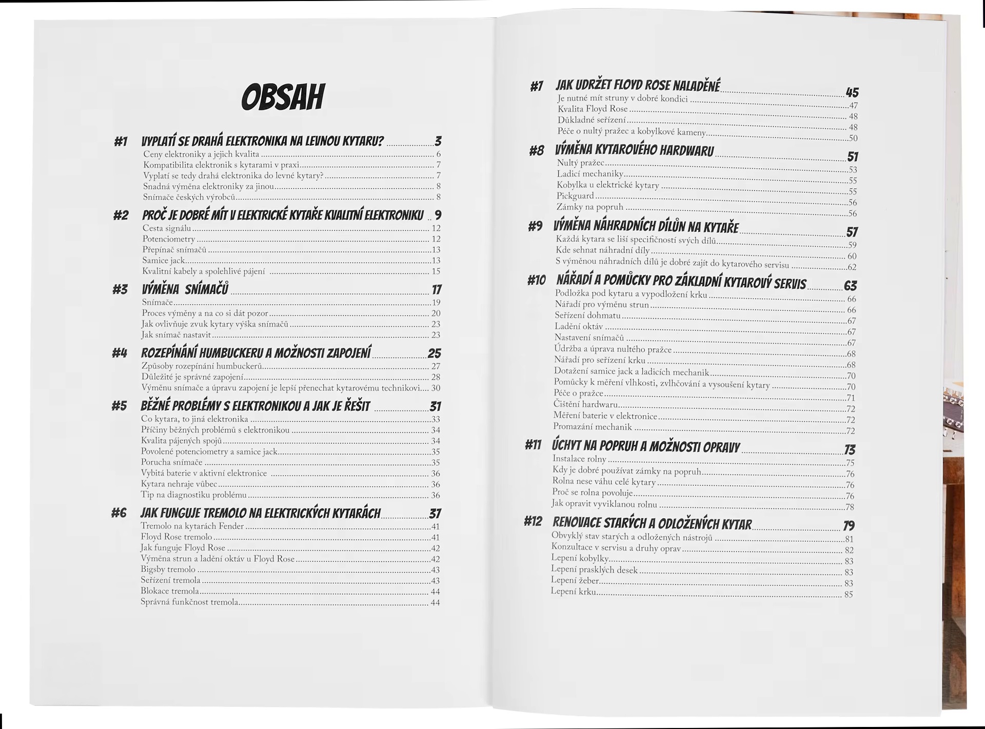 Frontman Péče o kytaru 2. díl - Zdeněk Lev (obrázek 5)