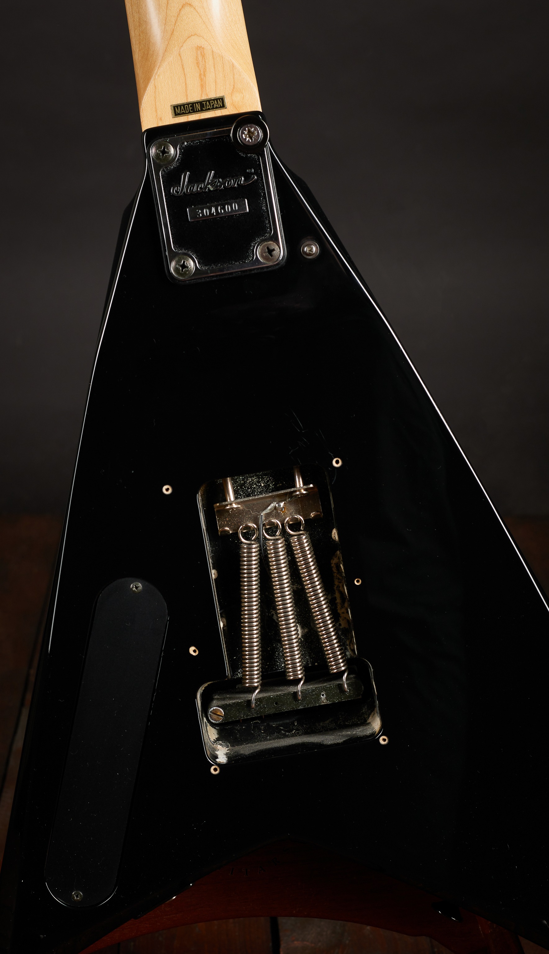 Jackson 1993 Rhoads EX (obrázek 5)