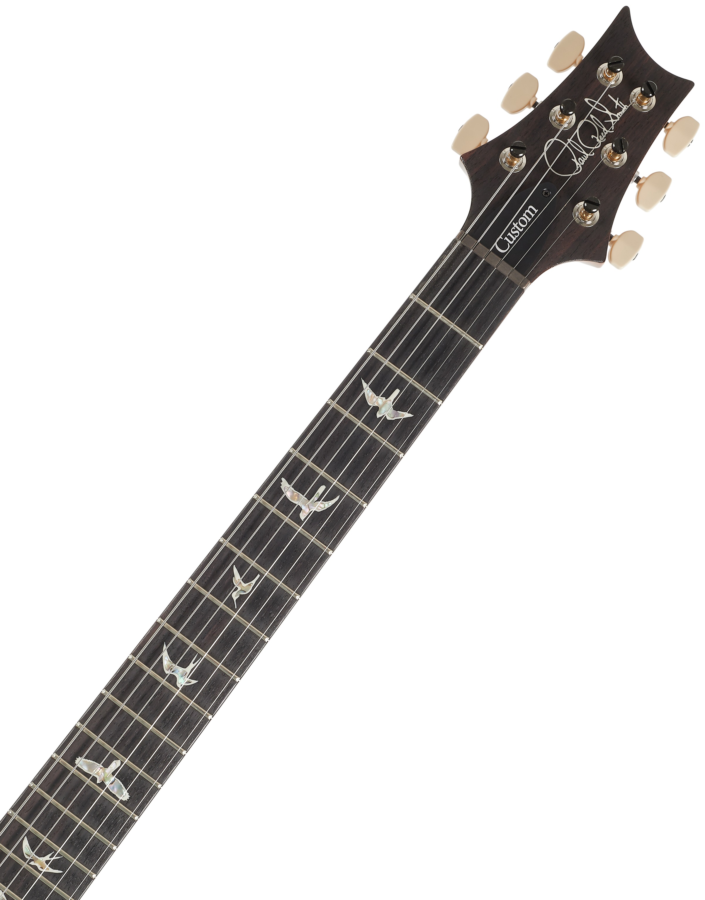 PRS Custom 24 Aurora Borealis (obrázek 4)