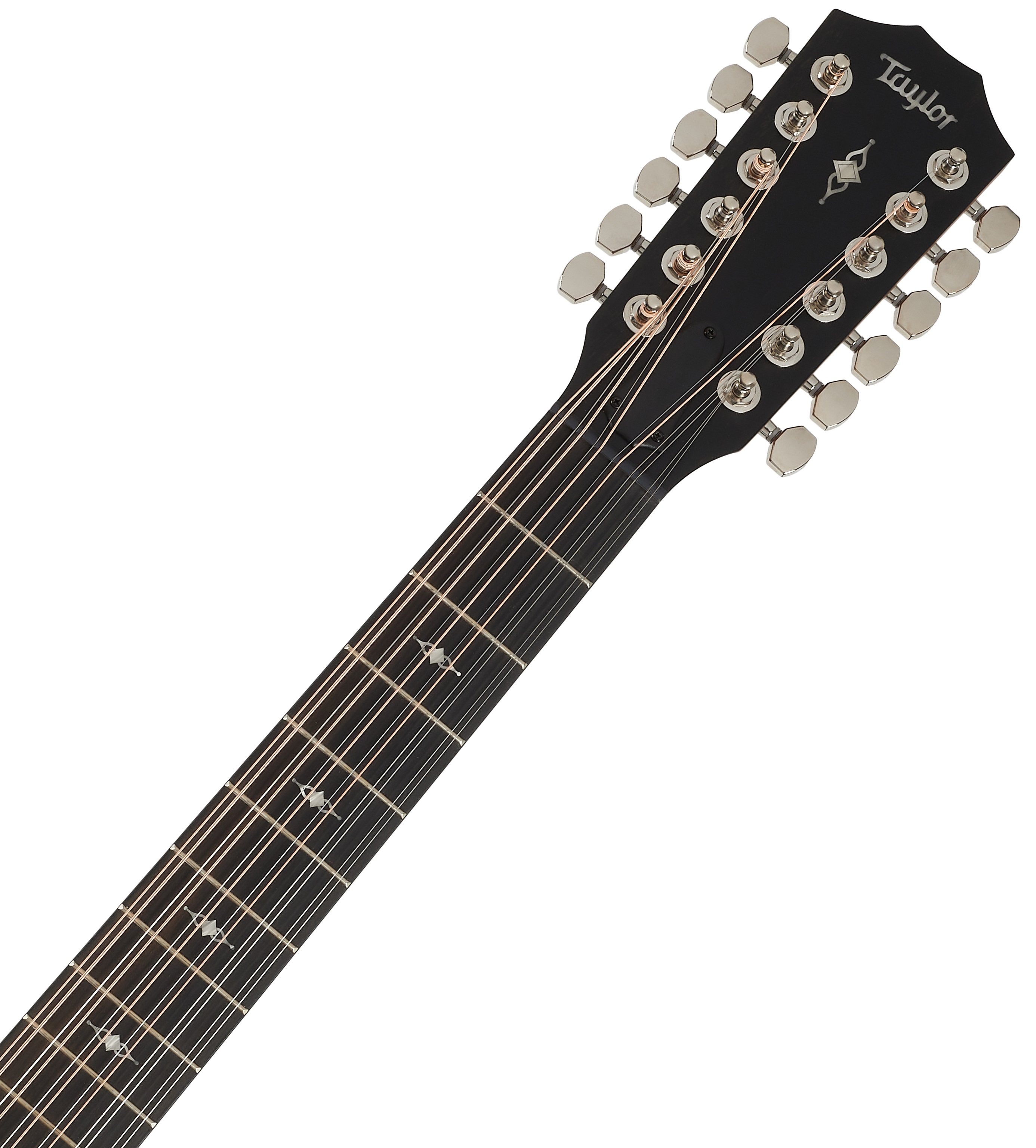 Taylor 354ce (obrázek 5)