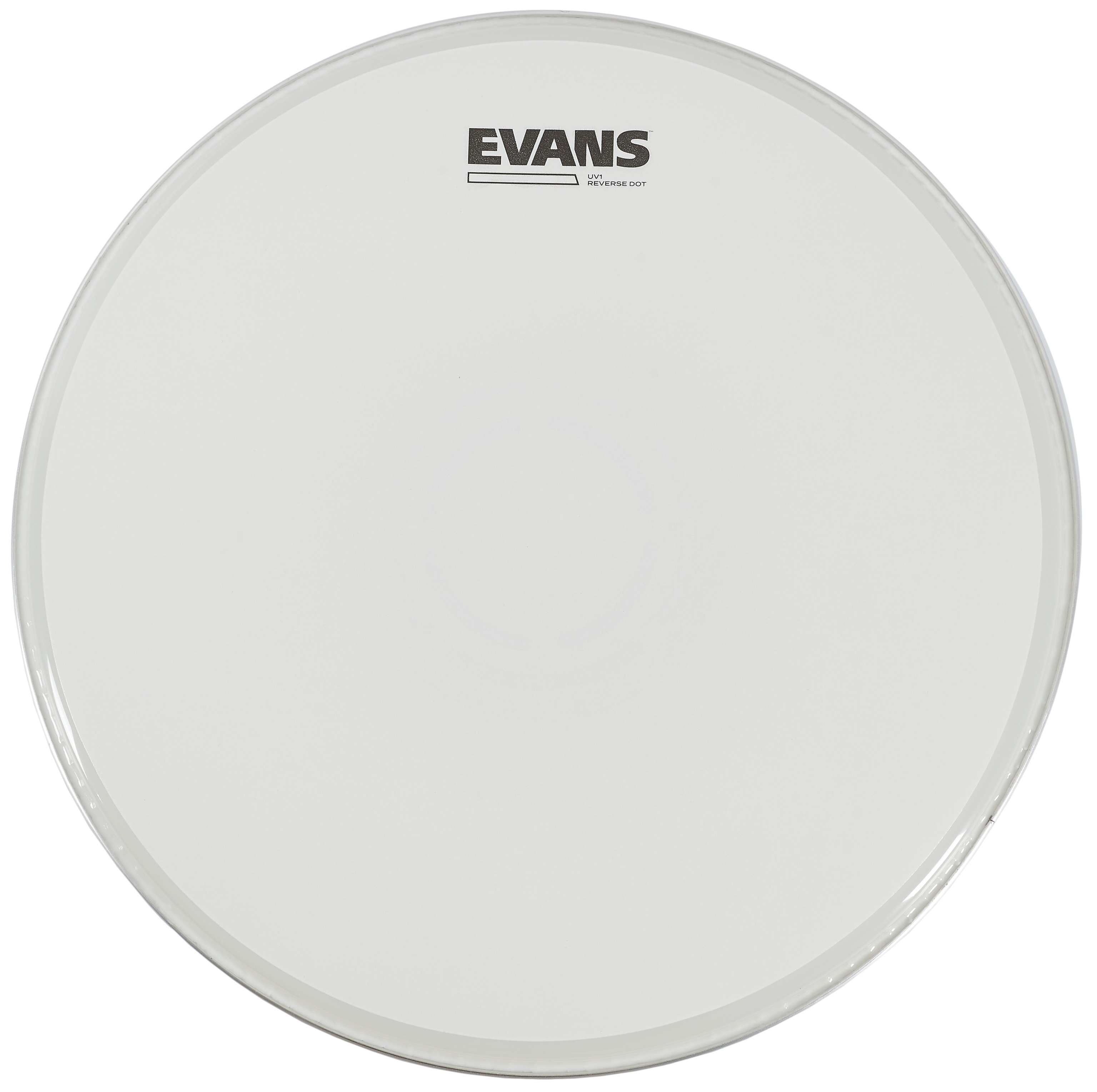 Evans 14