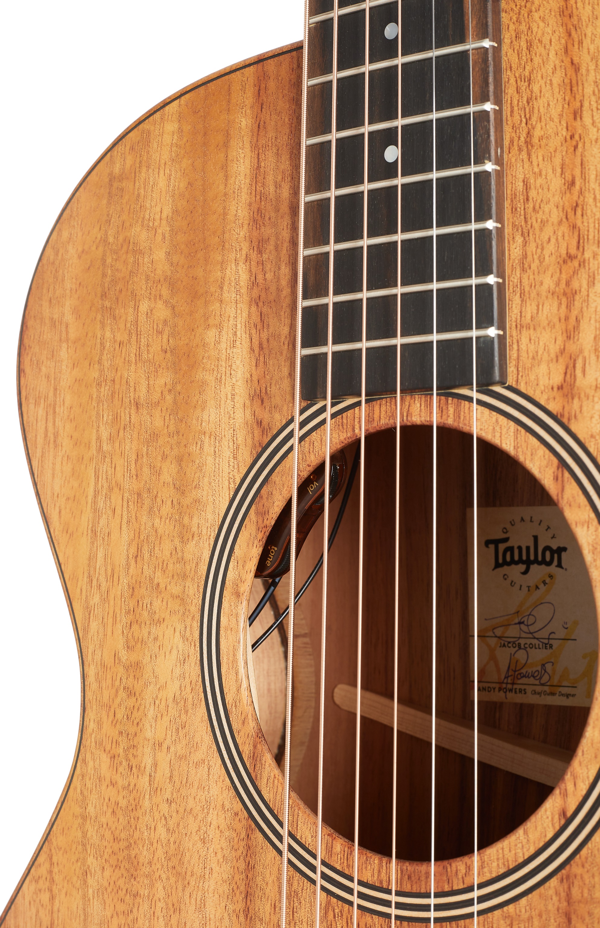 Taylor JCSM-6 Jacob Collier (obrázek 4)