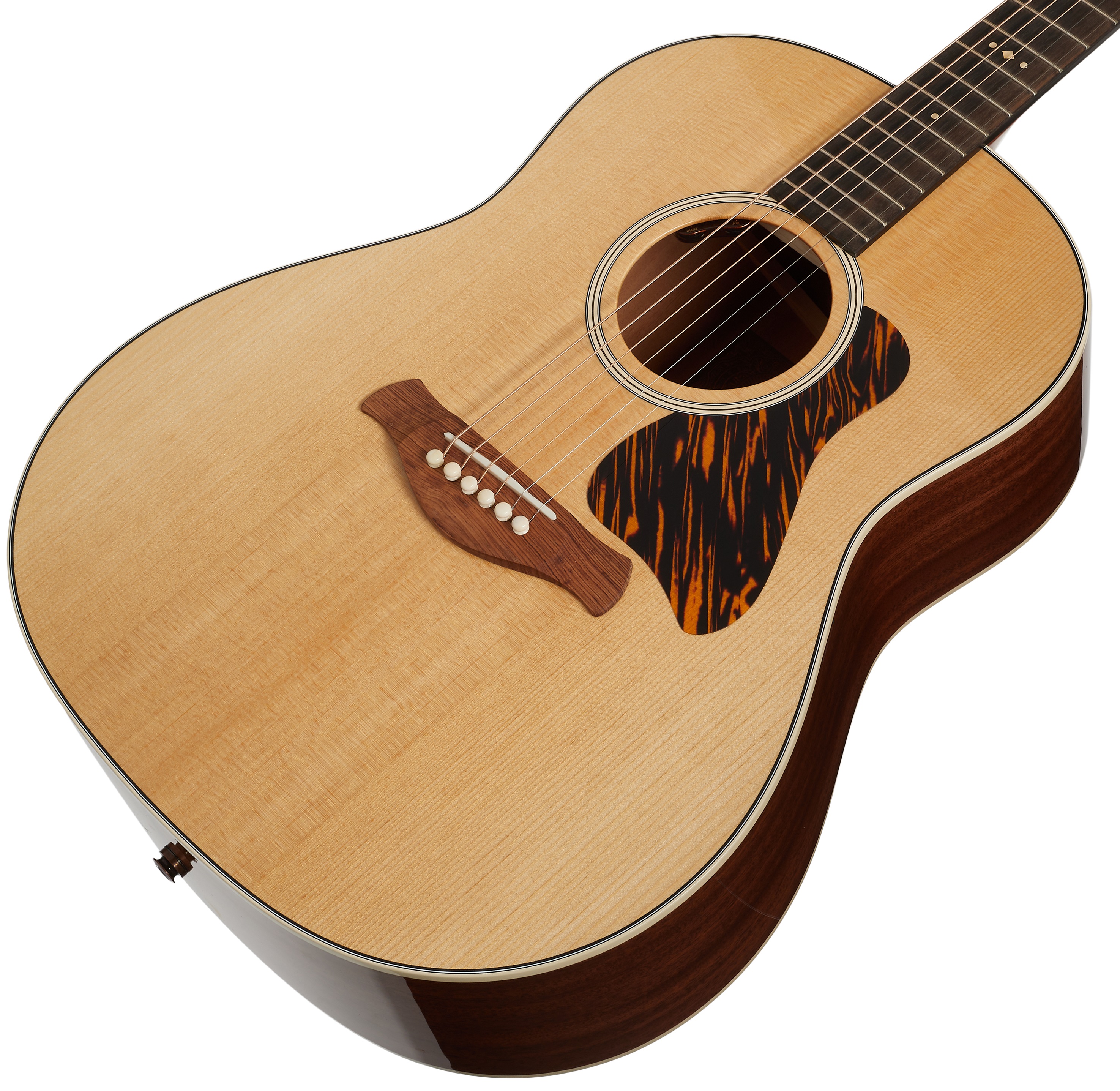 Taylor Gold Label 517e (obrázek 3)