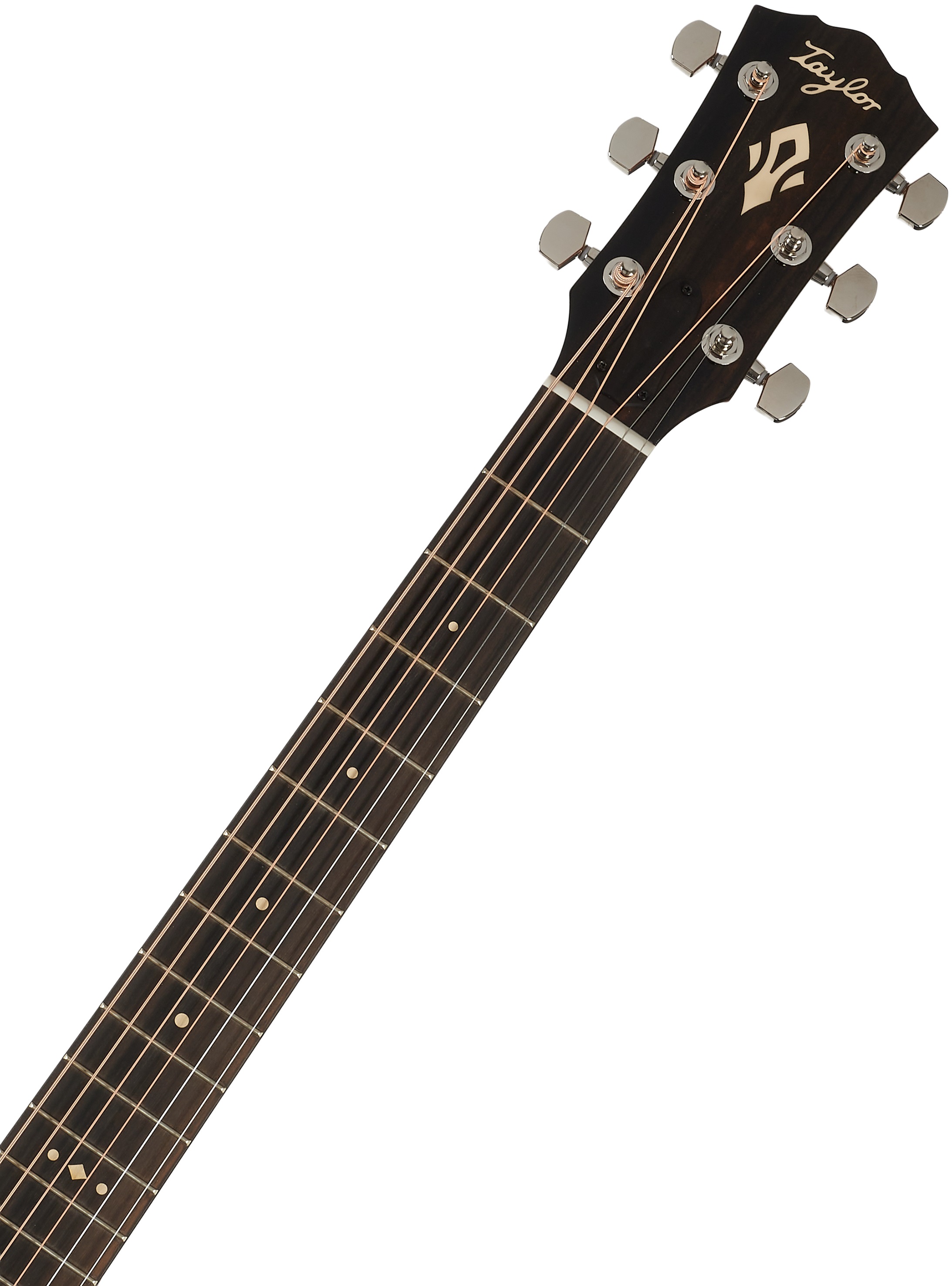 Taylor Gold Label 517e (obrázek 4)