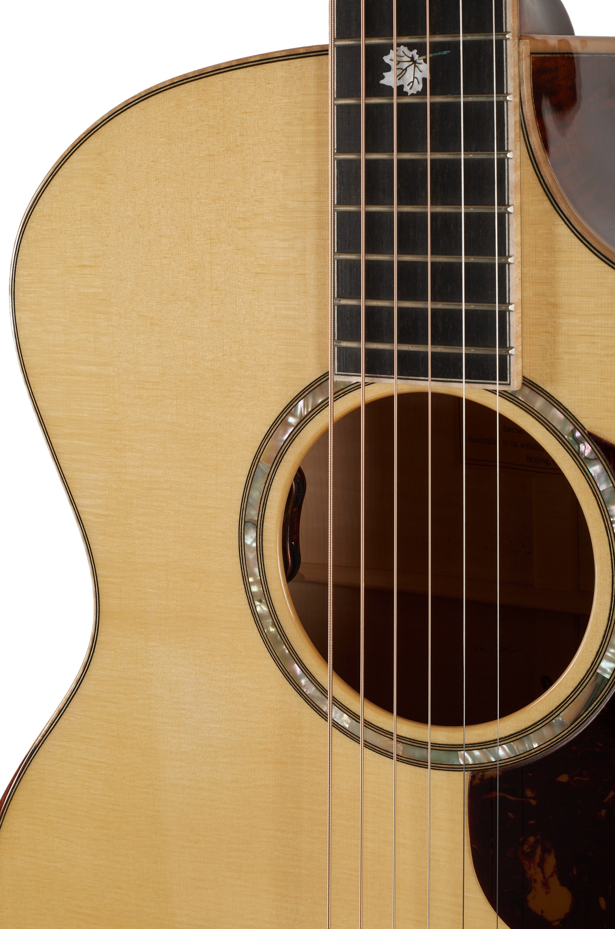 Eastman AC622CE (obrázek 5)