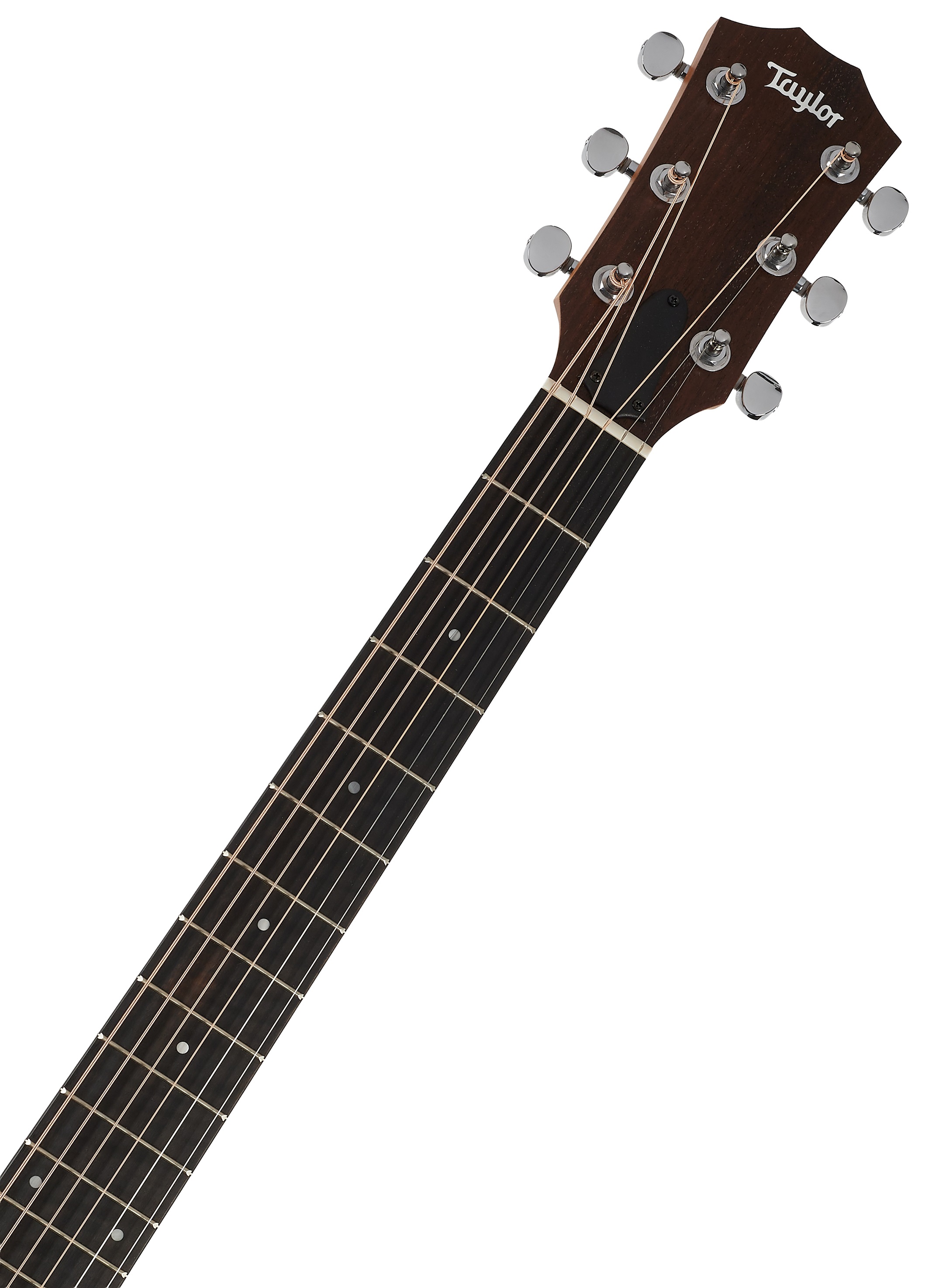 Taylor 14ce (obrázek 4)