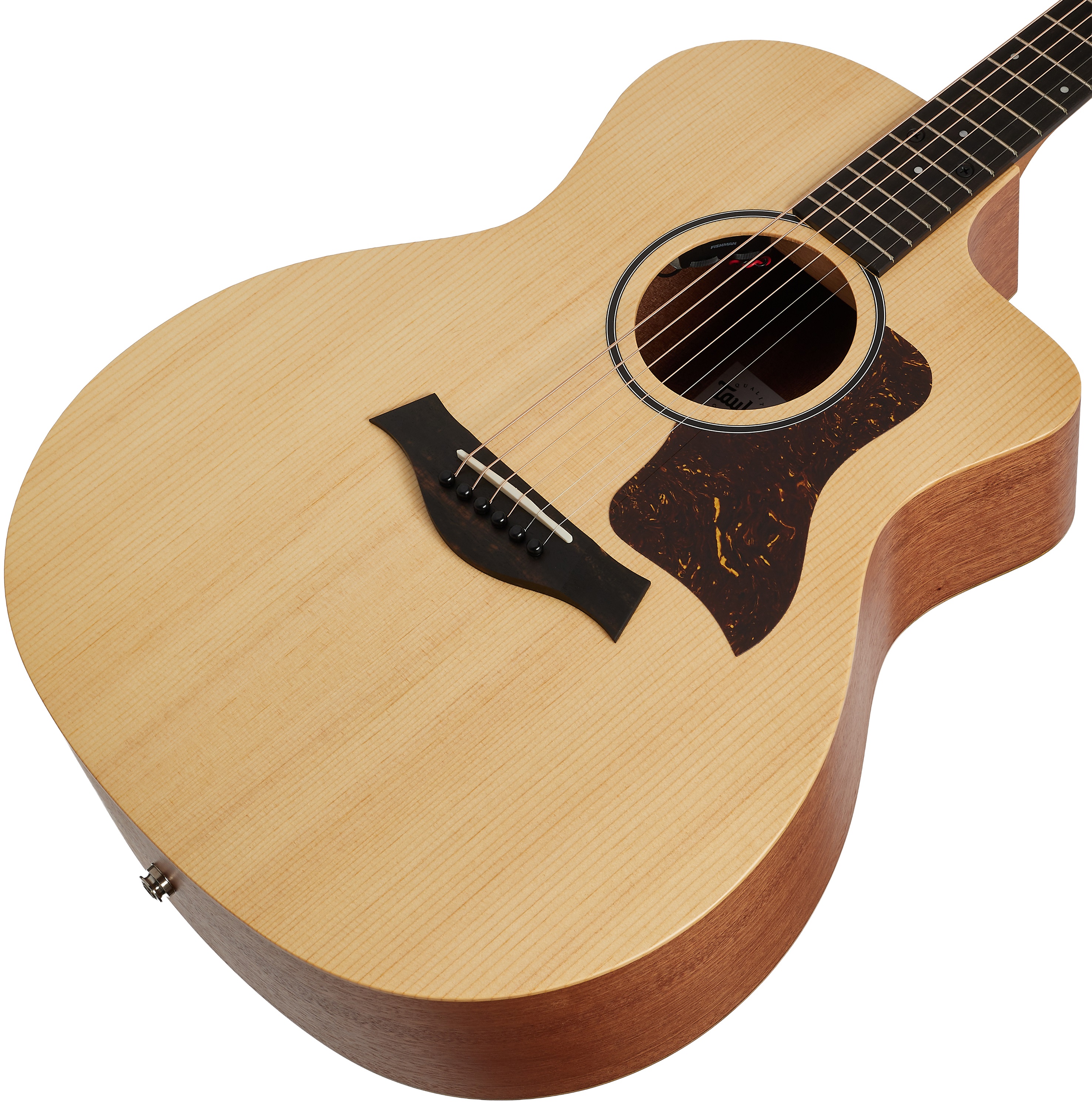 Taylor 14ce (obrázek 3)