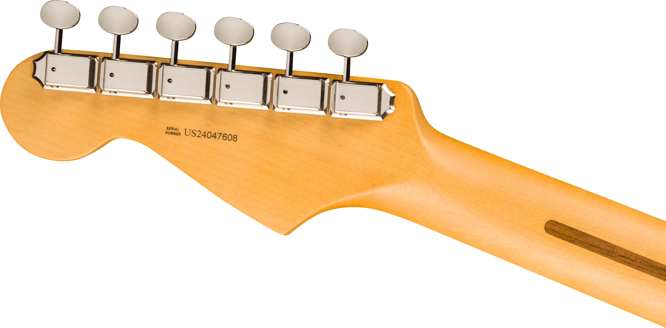 Fender American Professional Classic Stratocaster RW Faded Sherwood Gr (obrázek 5)
