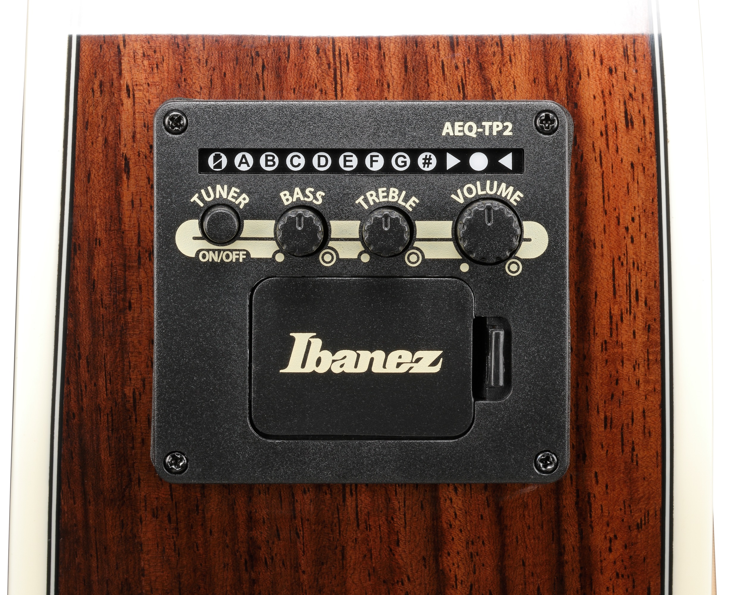 Ibanez AC391RCE Black Top (obrázek 4)