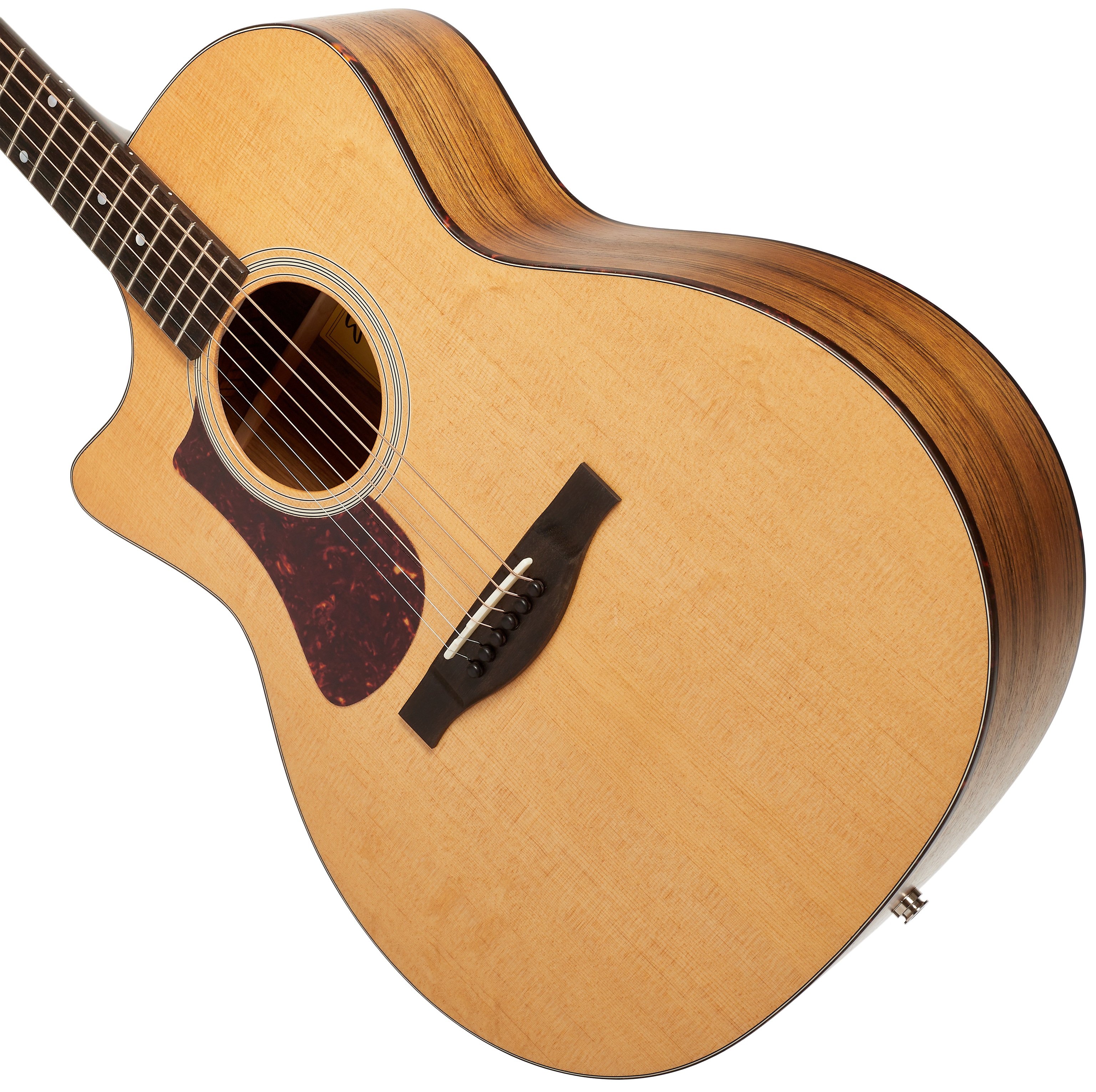 Eastman AC222LCE (obrázek 3)