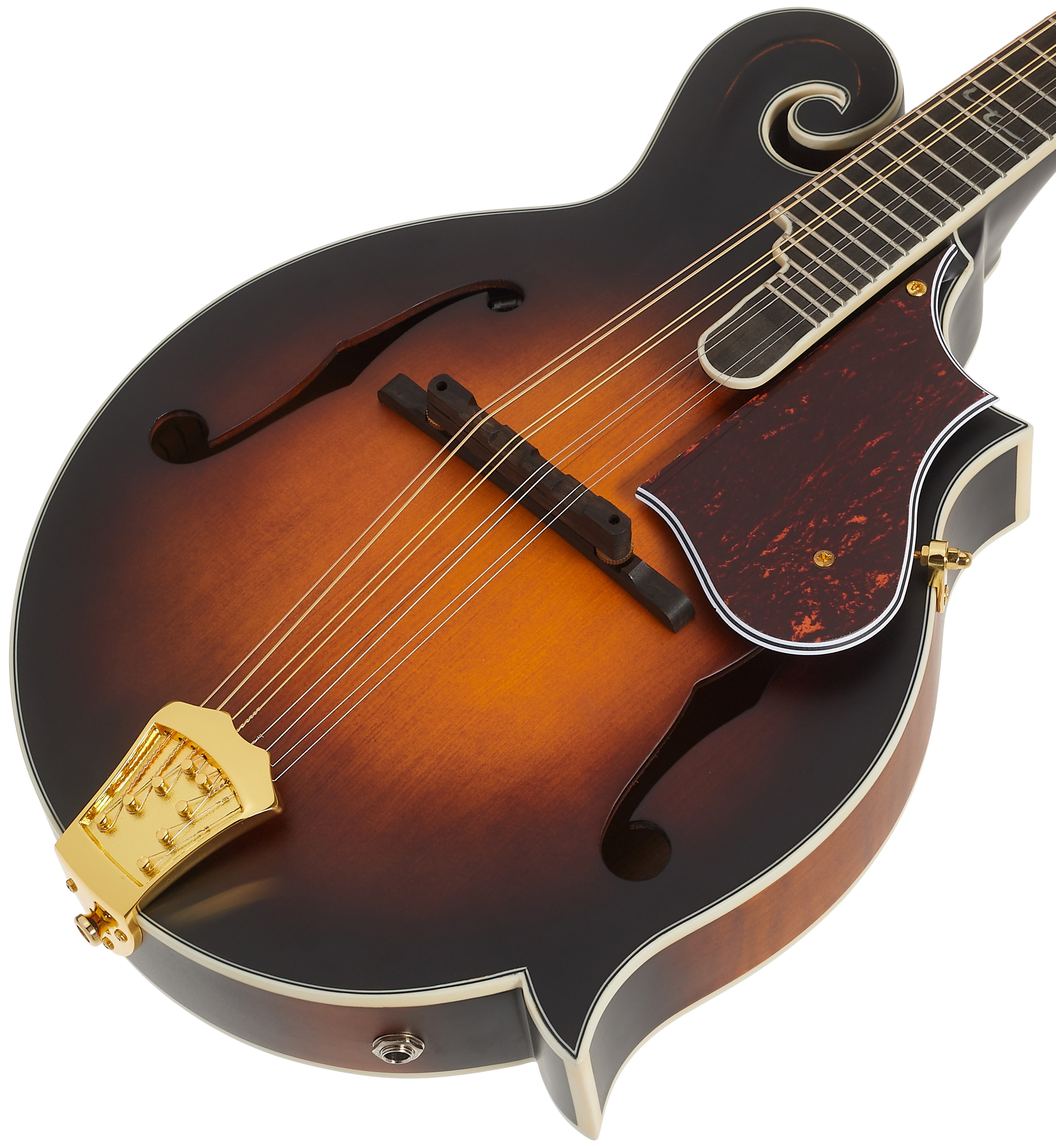 Ortega RMFE100AVO (obrázek 3)