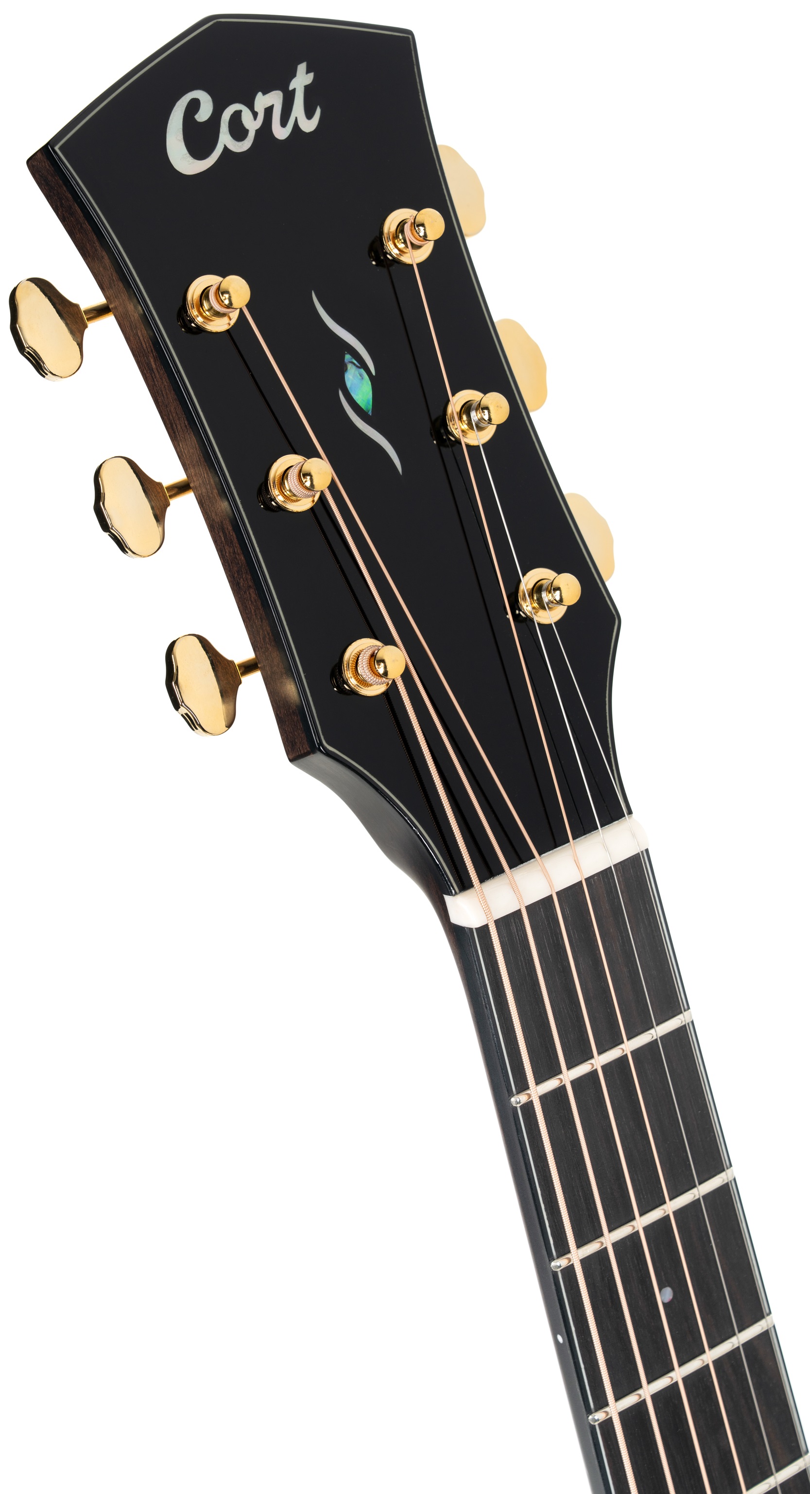 Cort Gold MC6 Ovangkol NAT (obrázek 6)