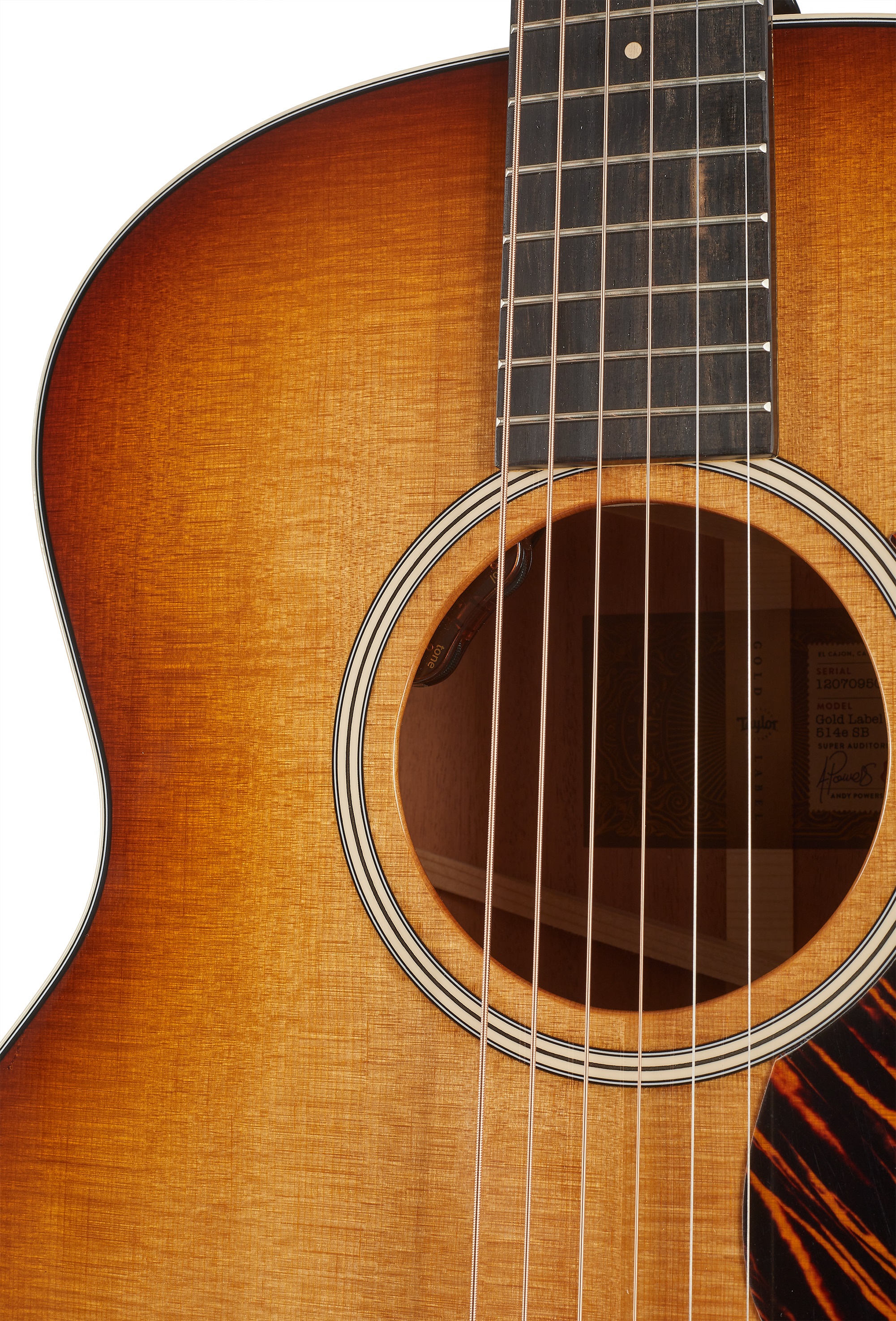 Taylor Gold Label 514e FS SB (obrázek 4)