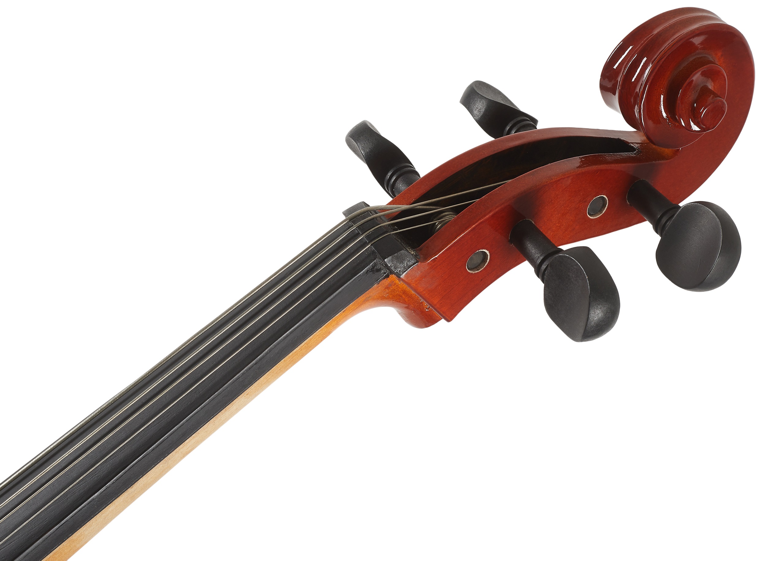 Luthier Academy - 1/4 (obrázek 6)