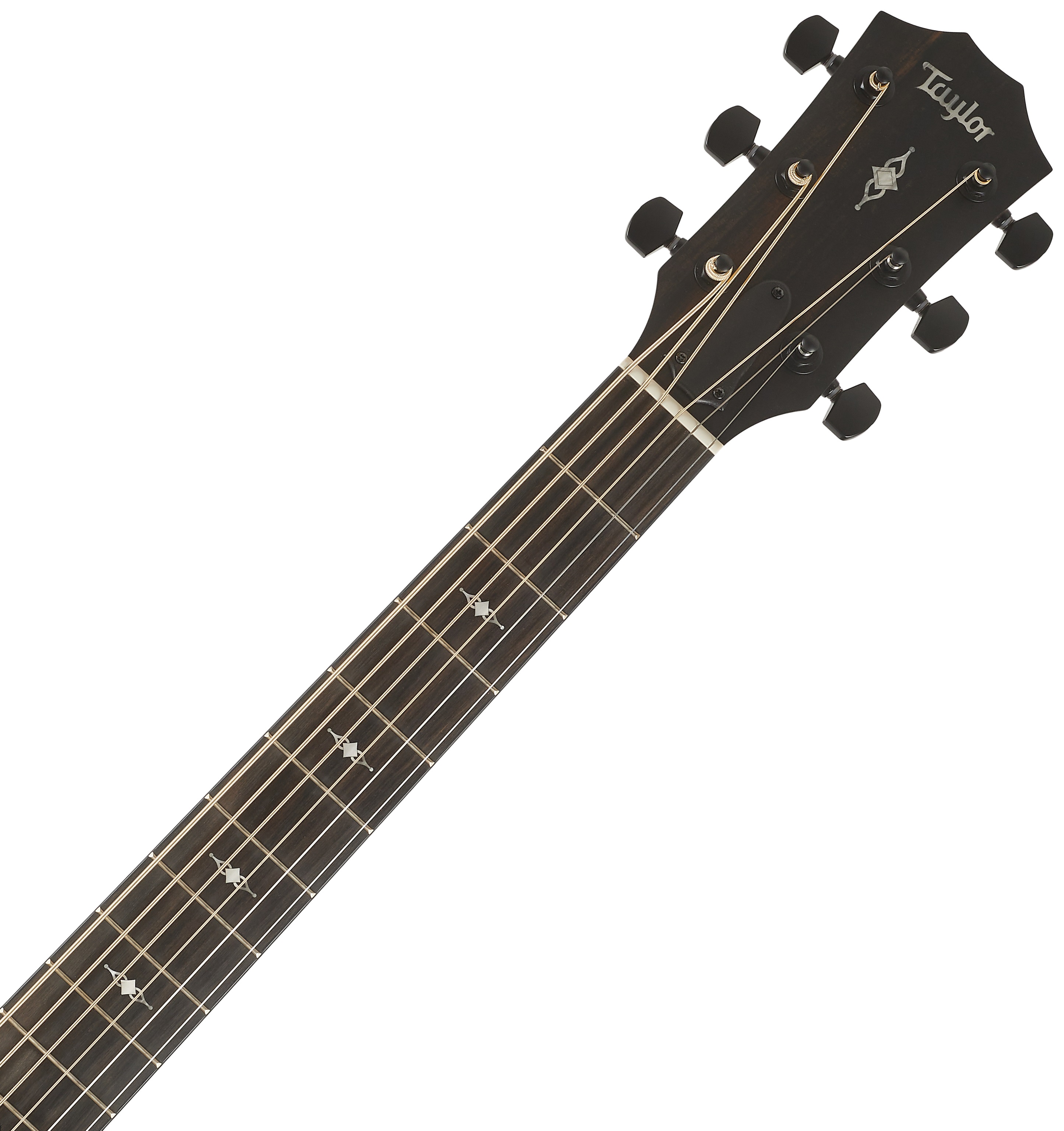 Taylor 324ce Baritone-6 LTD (obrázek 5)