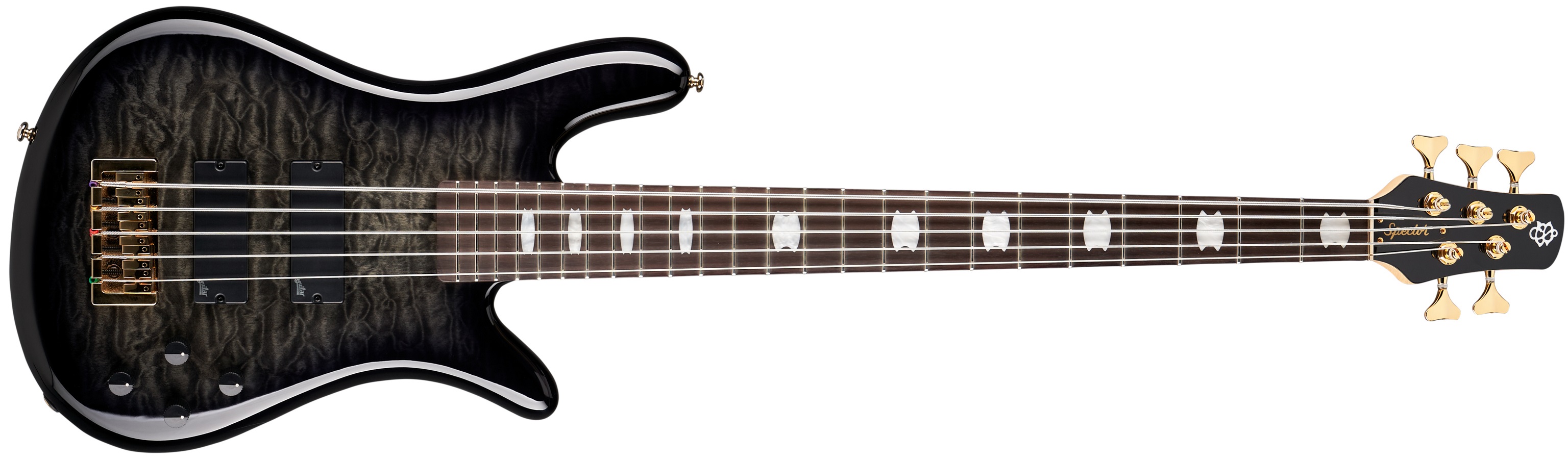 Levně Spector Icon NS-5, Bolt-On, Black Stain Gloss