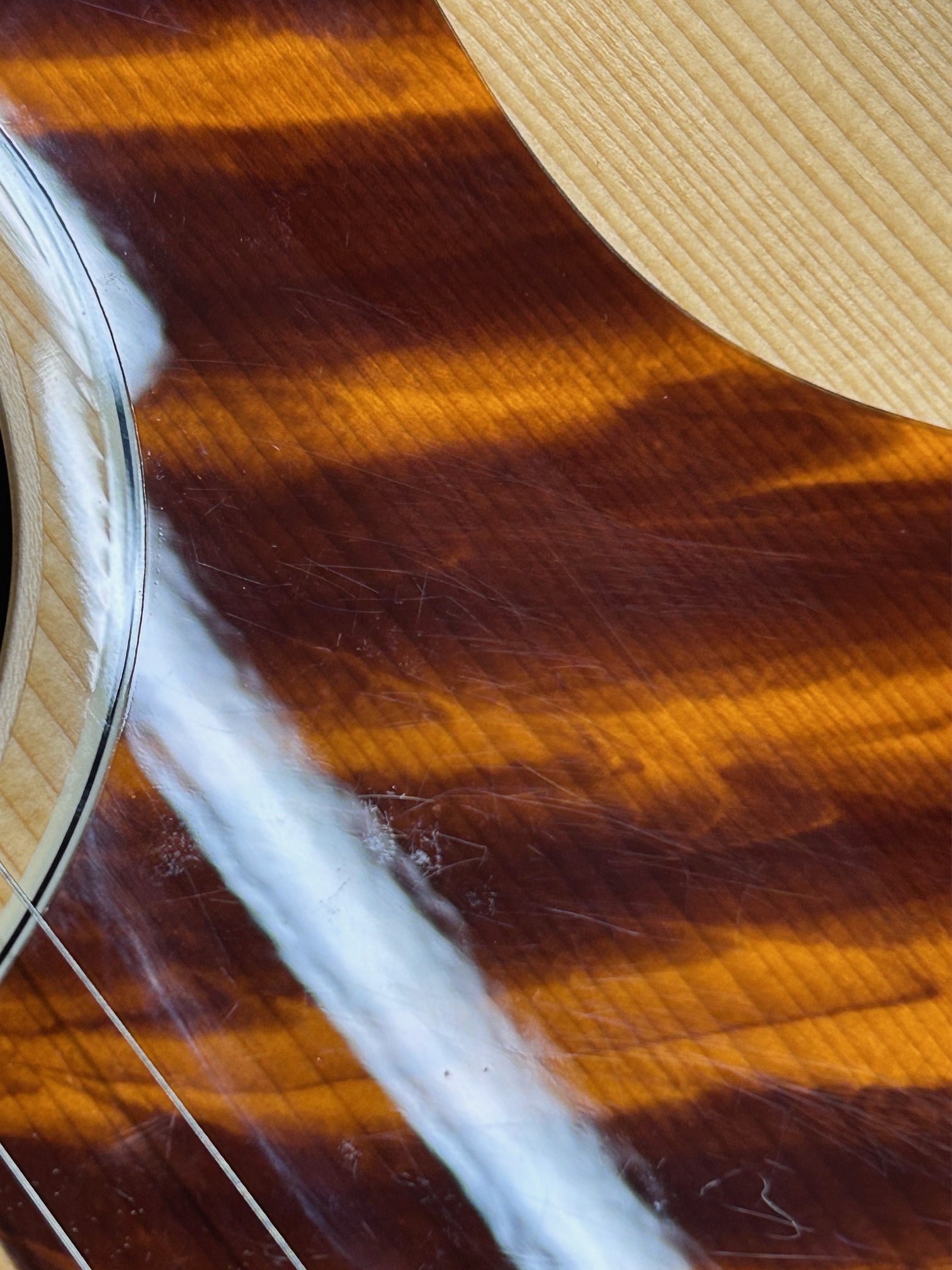 Eastman E6SS-TC (použité) (obrázek 3)