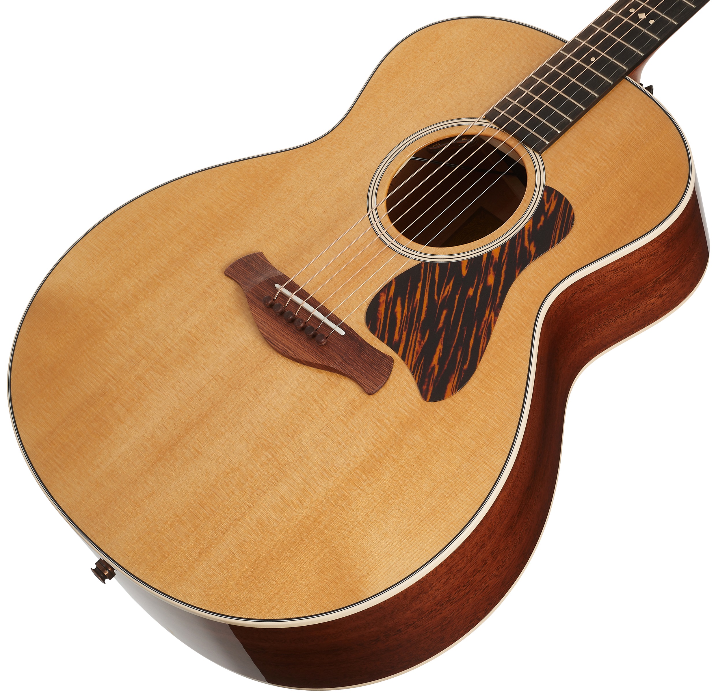 Taylor Gold Label 514e (obrázek 3)