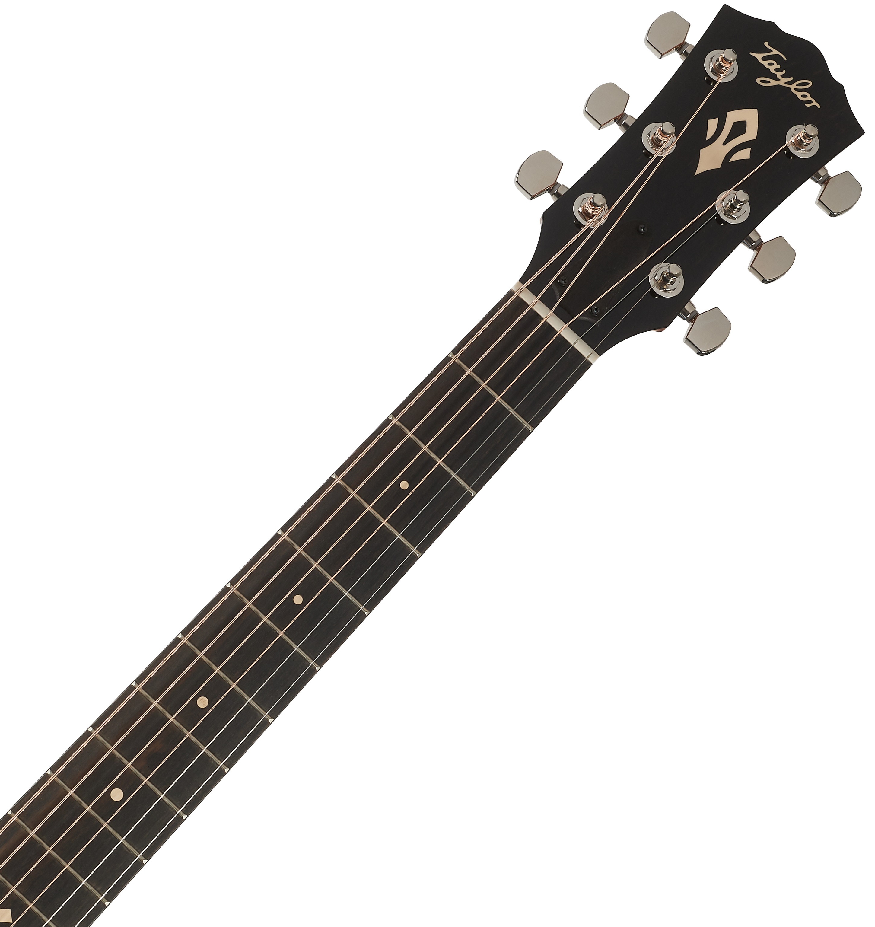 Taylor Gold Label 514e (obrázek 4)