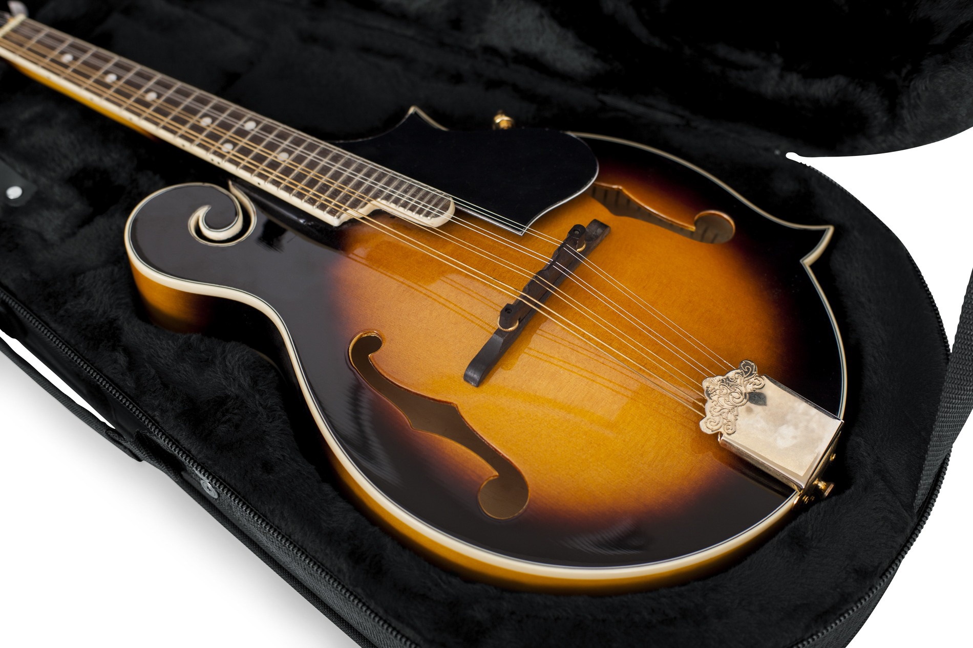 Gator GL-MANDOLIN (obrázek 6)