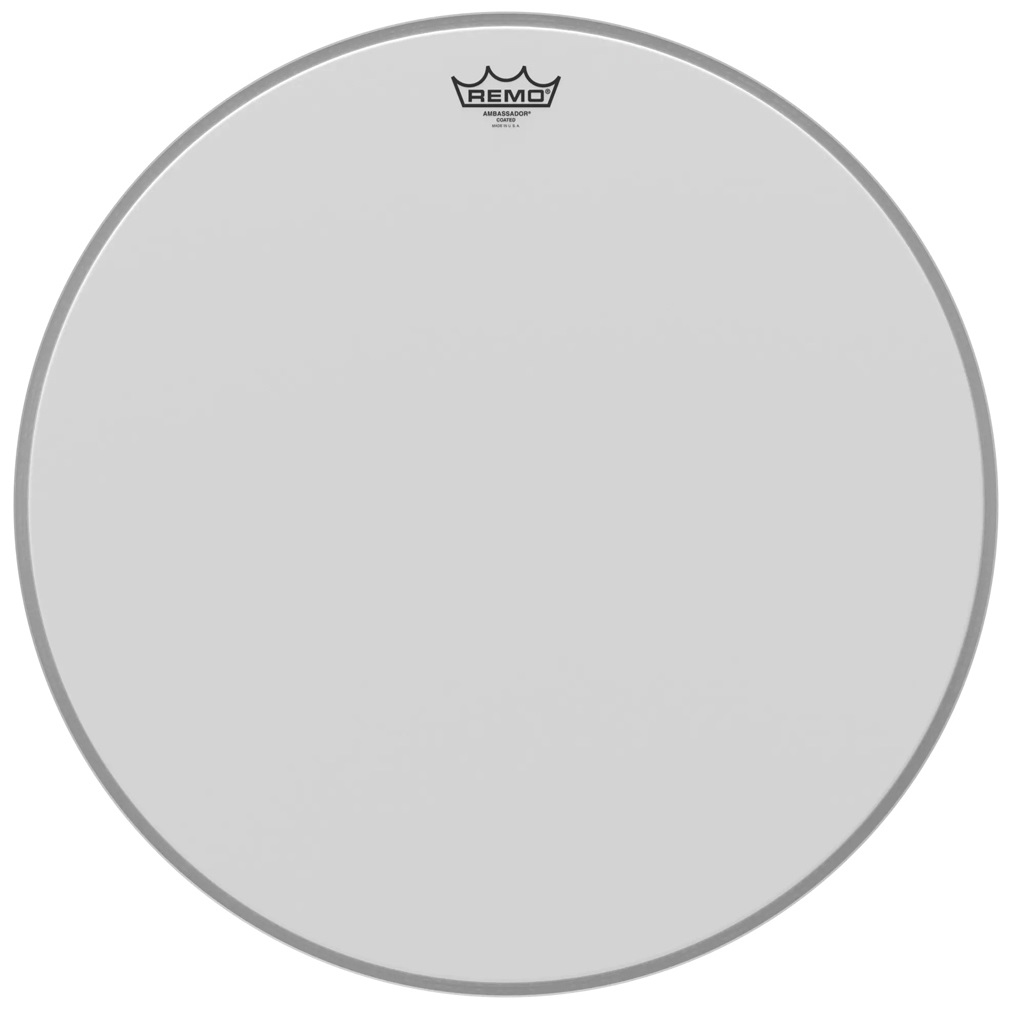 Levně Remo 20" Ambassador Coated