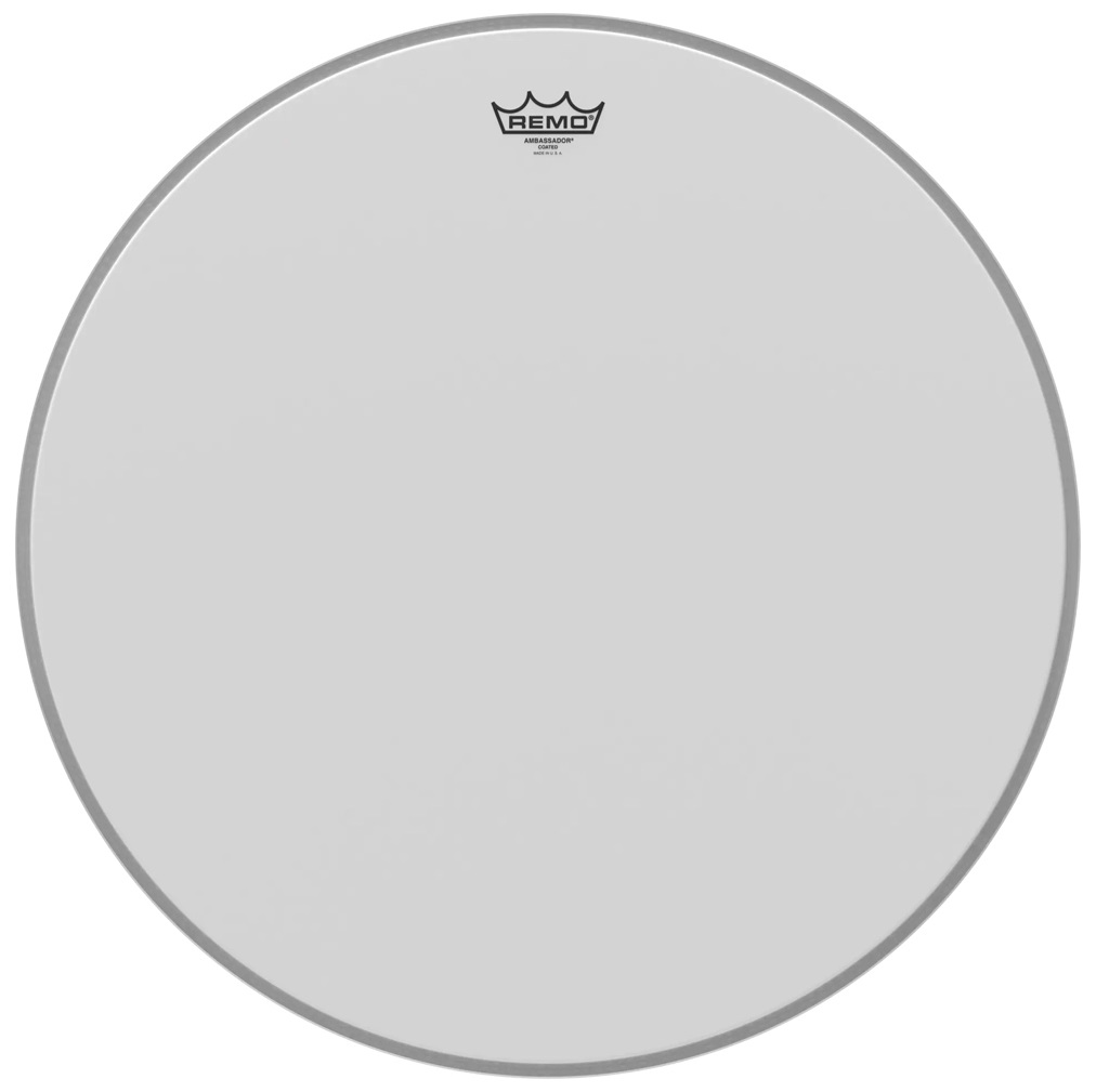 Levně Remo 26" Ambassador Coated