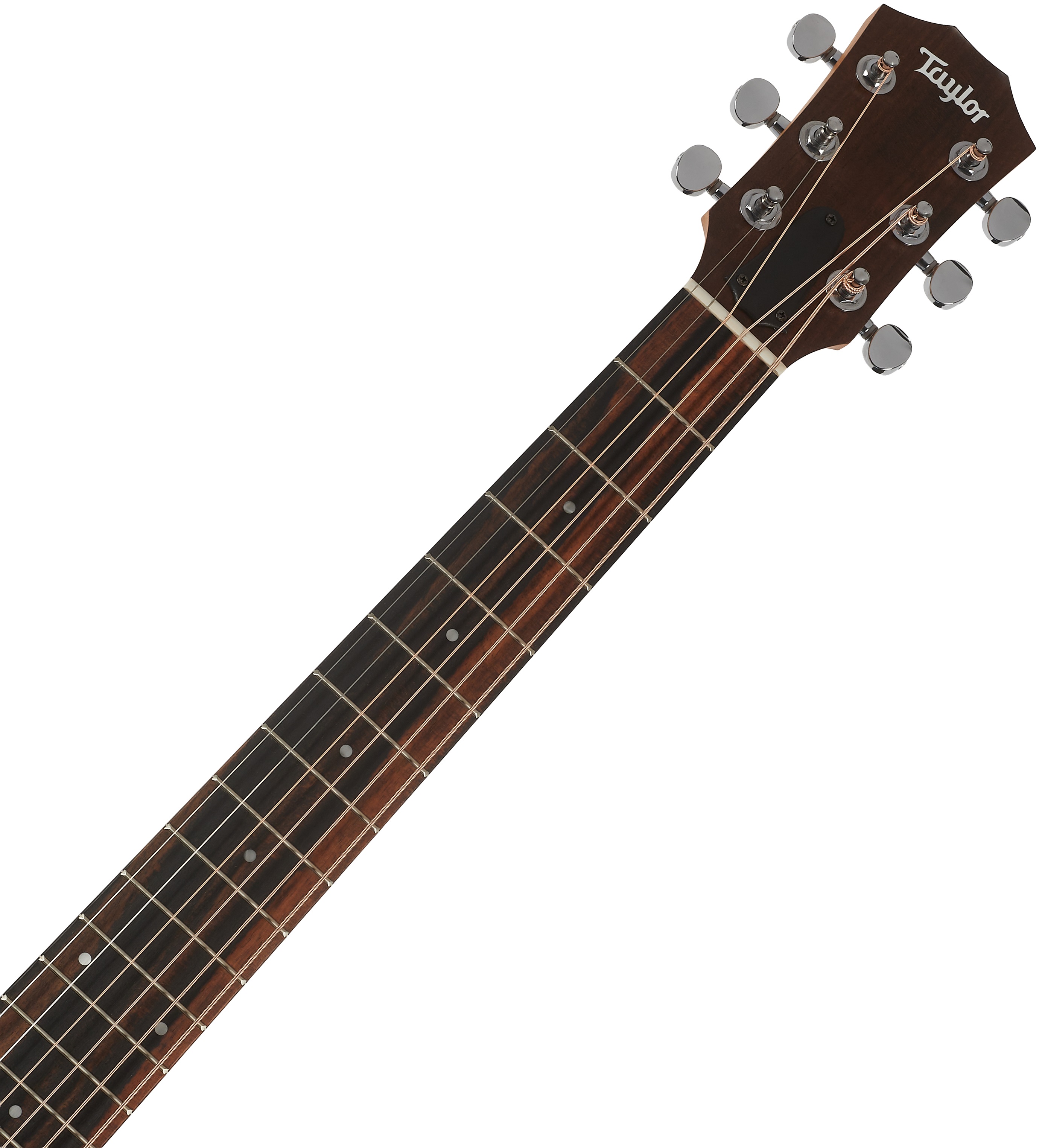 Taylor GS Mini Sapele LH (obrázek 4)