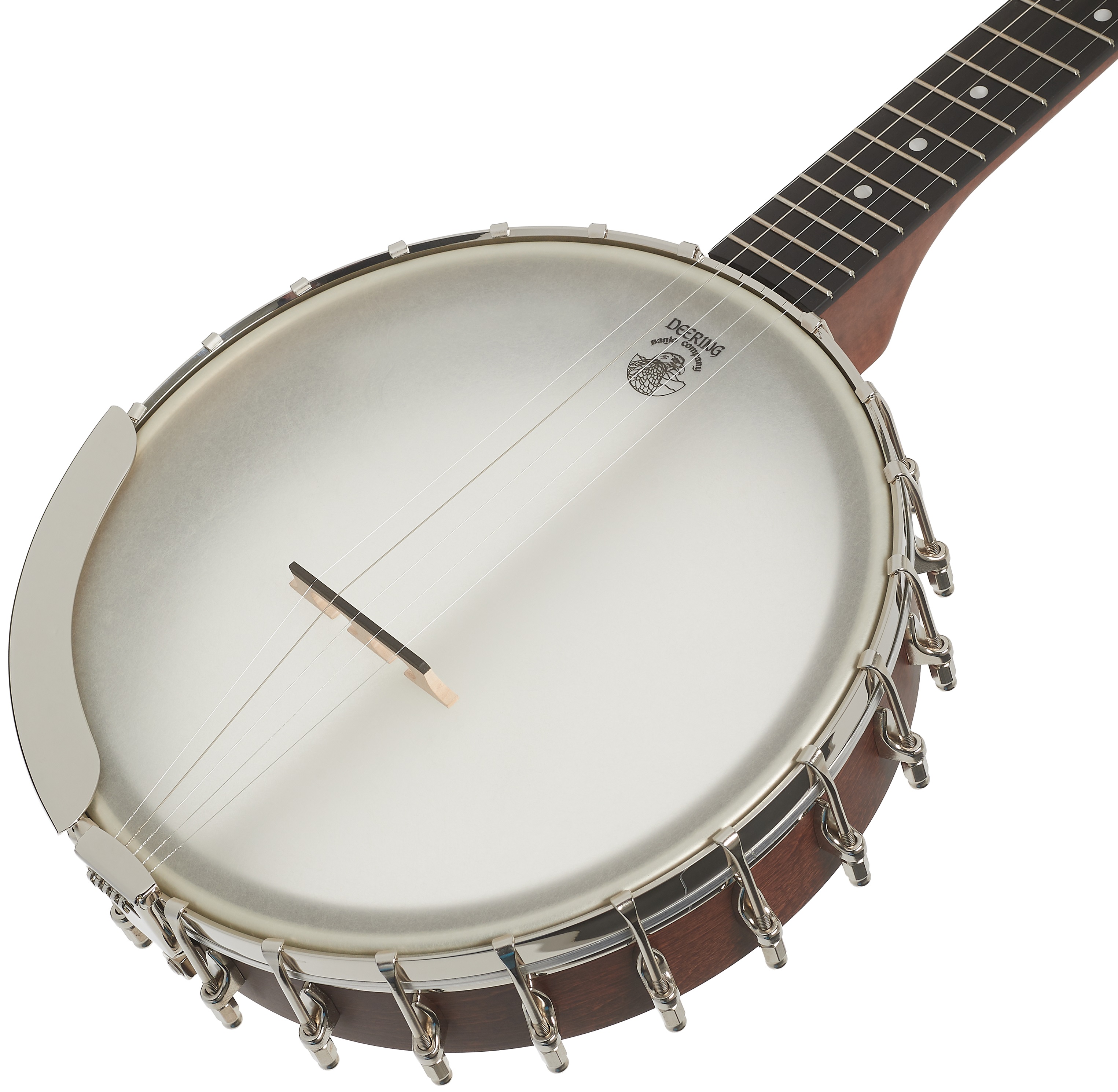 Deering Vega Senator 5-String (obrázek 3)