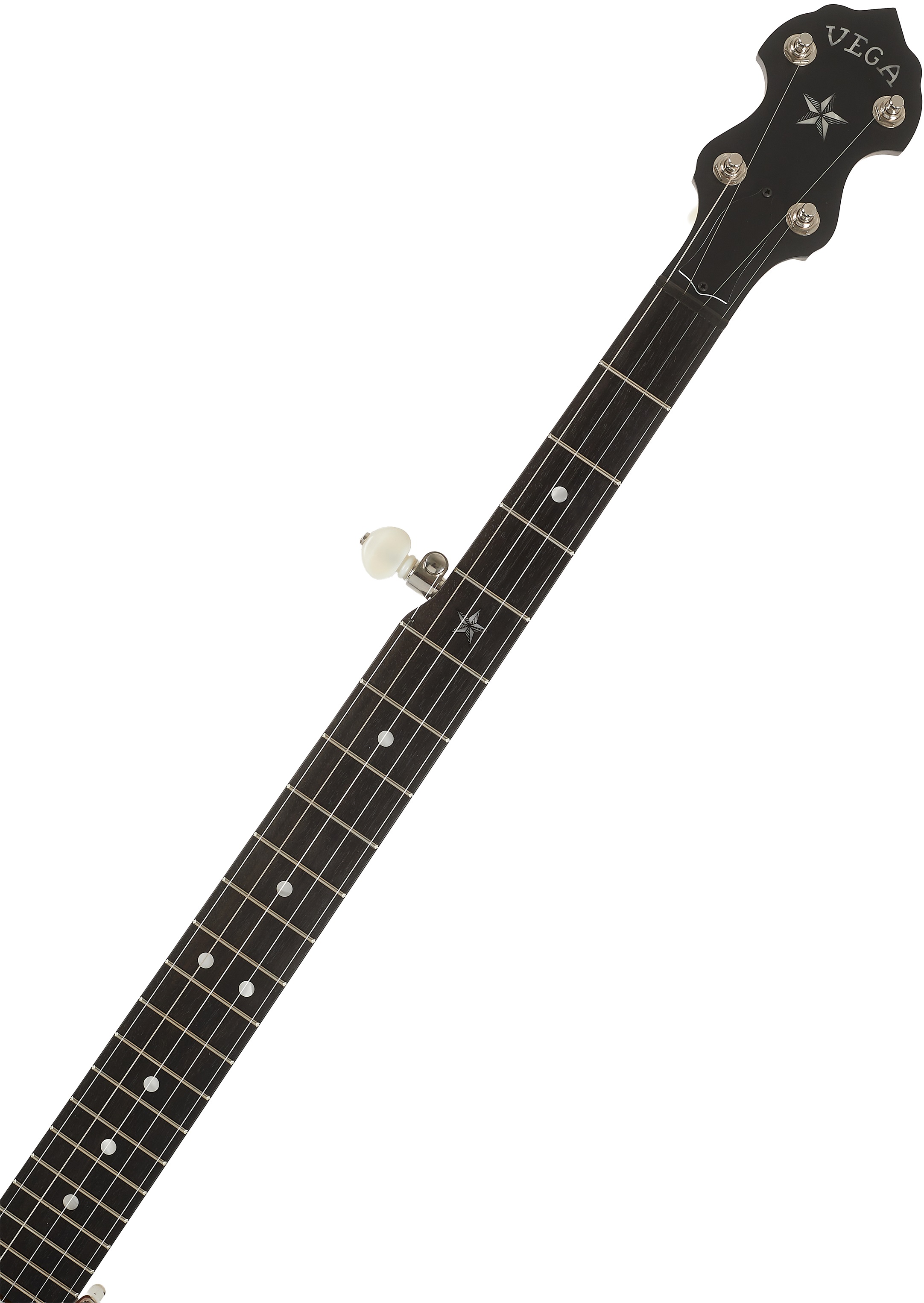 Deering Vega Senator 5-String (obrázek 4)