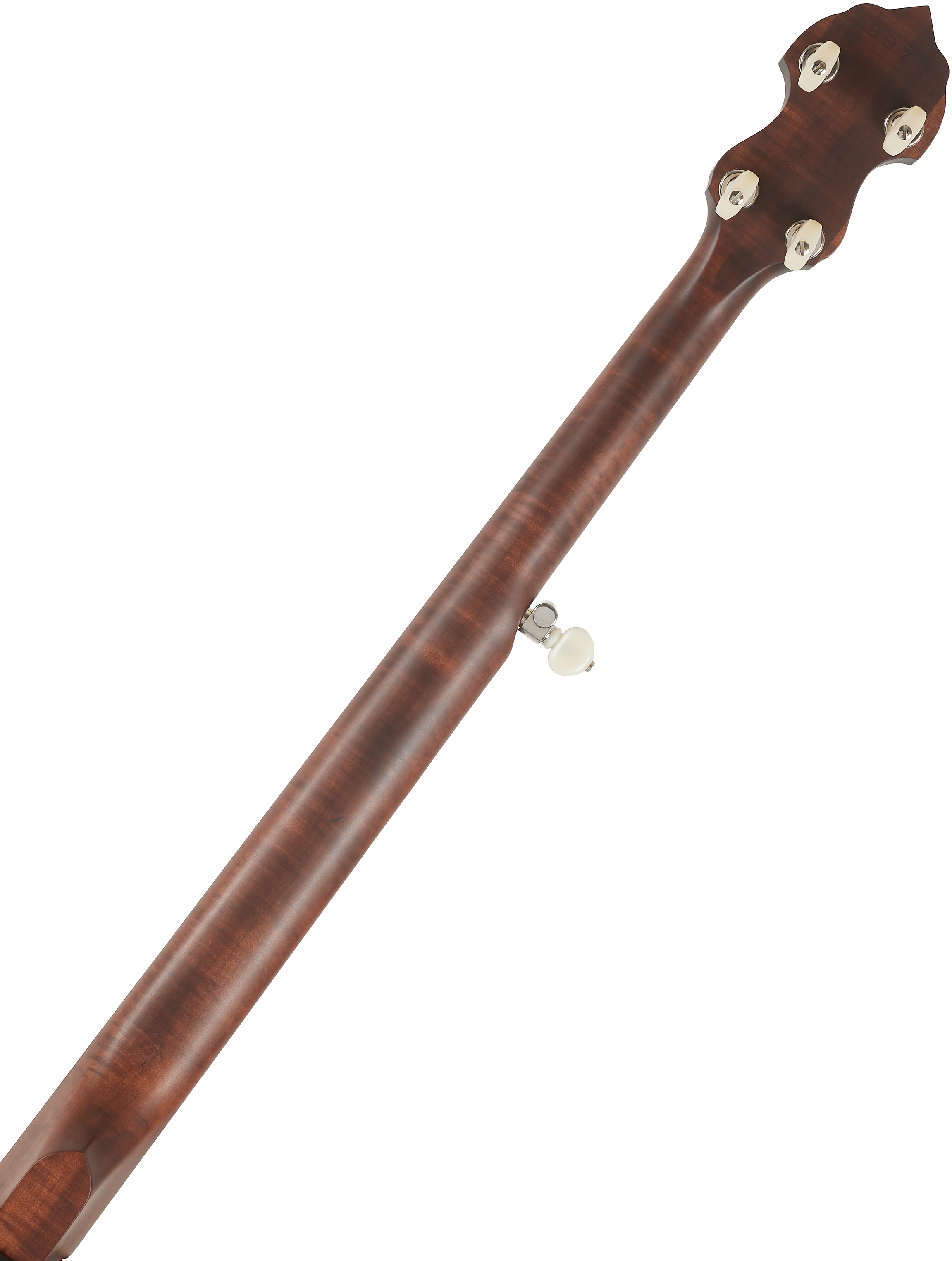 Deering Vega Senator 5-String (obrázek 5)