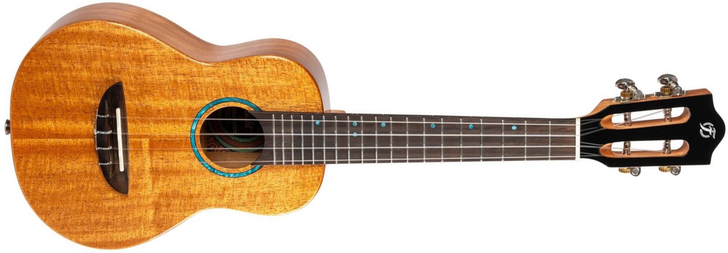 Levně Flight IRIS TINTA CONCERT NA