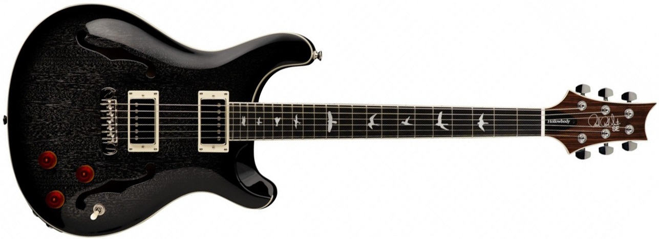 Levně PRS SE Hollowbody Standard Dog Hair Smokeburst