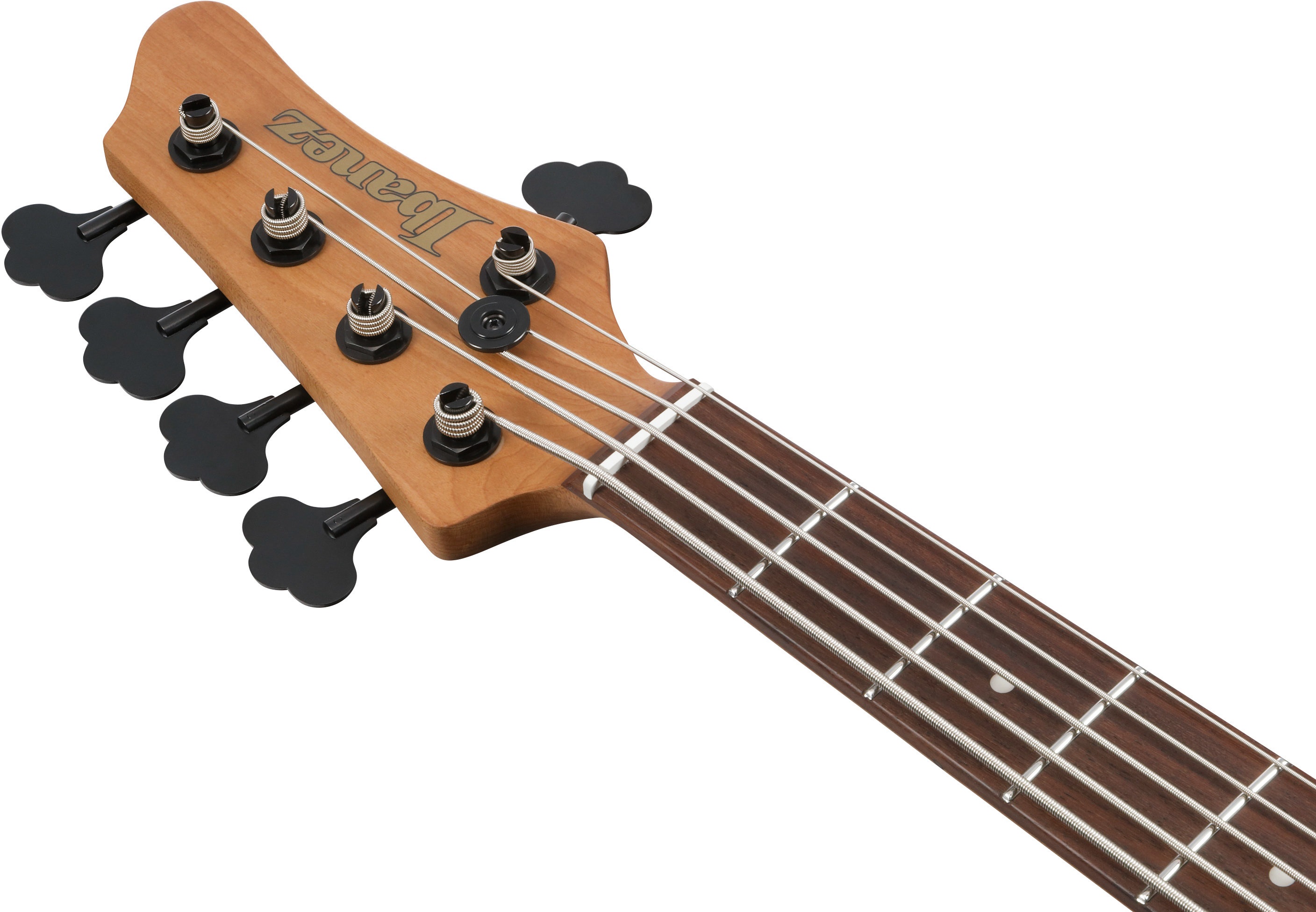 Ibanez MDM1605-DTW (obrázek 5)