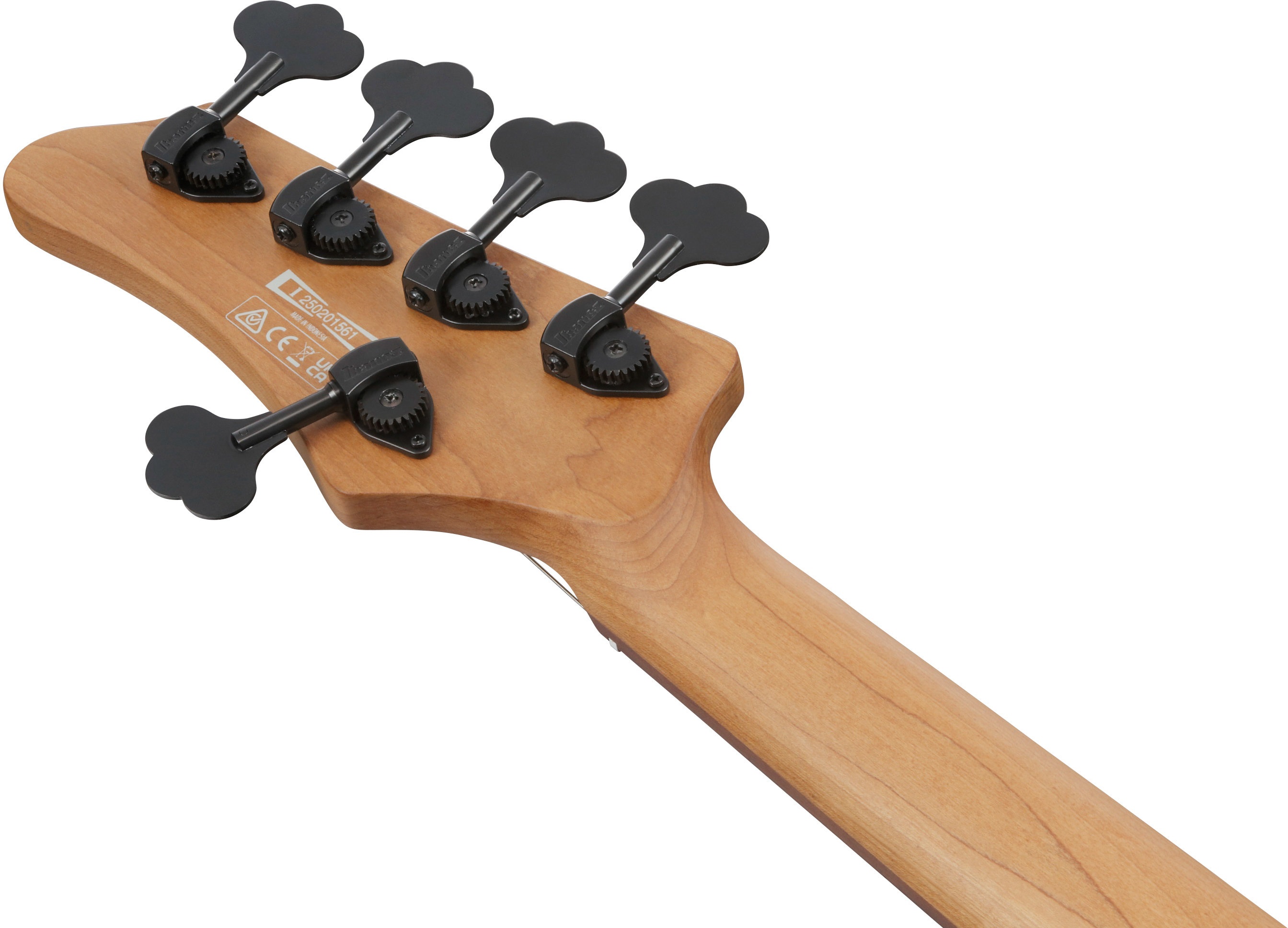 Ibanez MDM1605-DTW (obrázek 6)