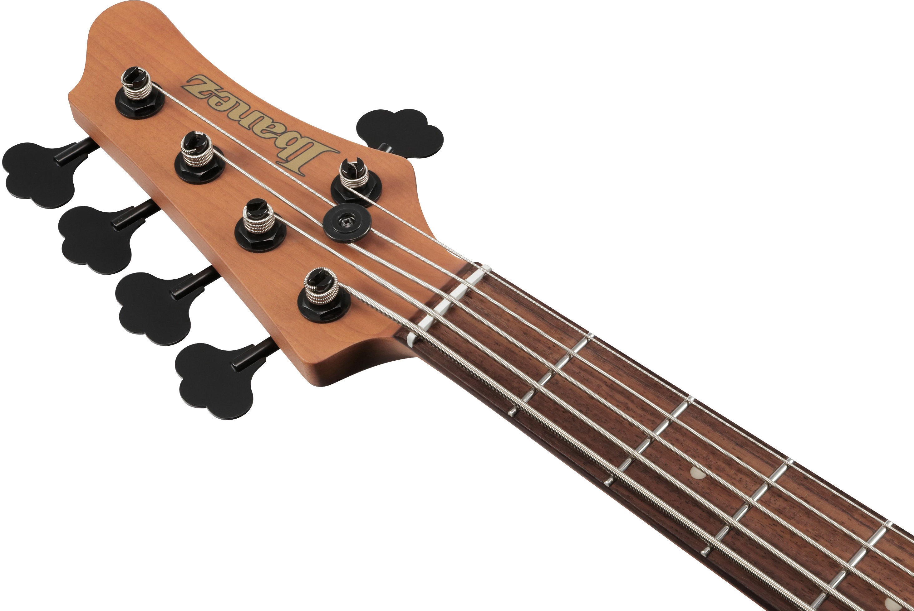 Ibanez MDM1005-MAM (obrázek 5)