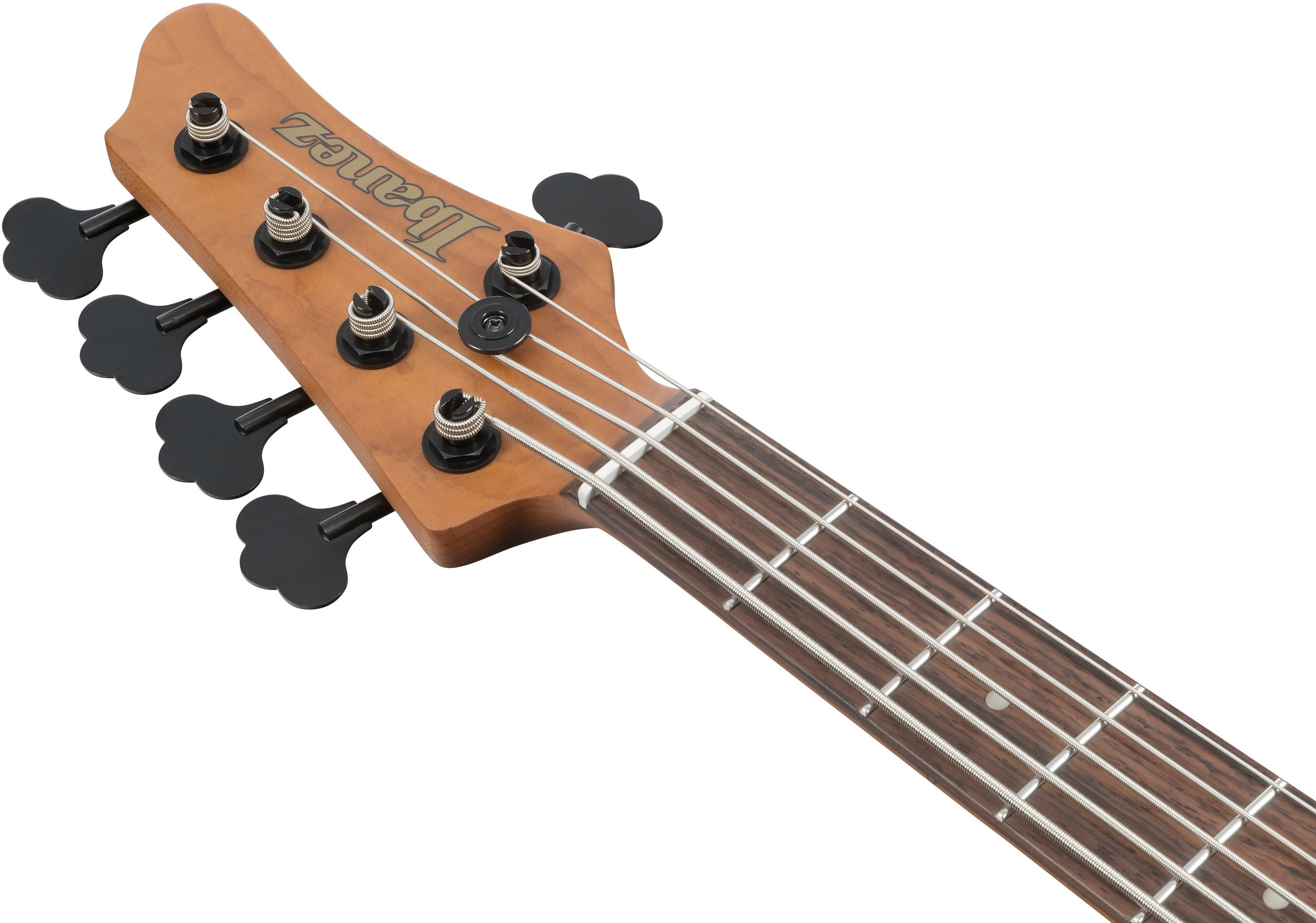 Ibanez MDM1005-PW (obrázek 5)