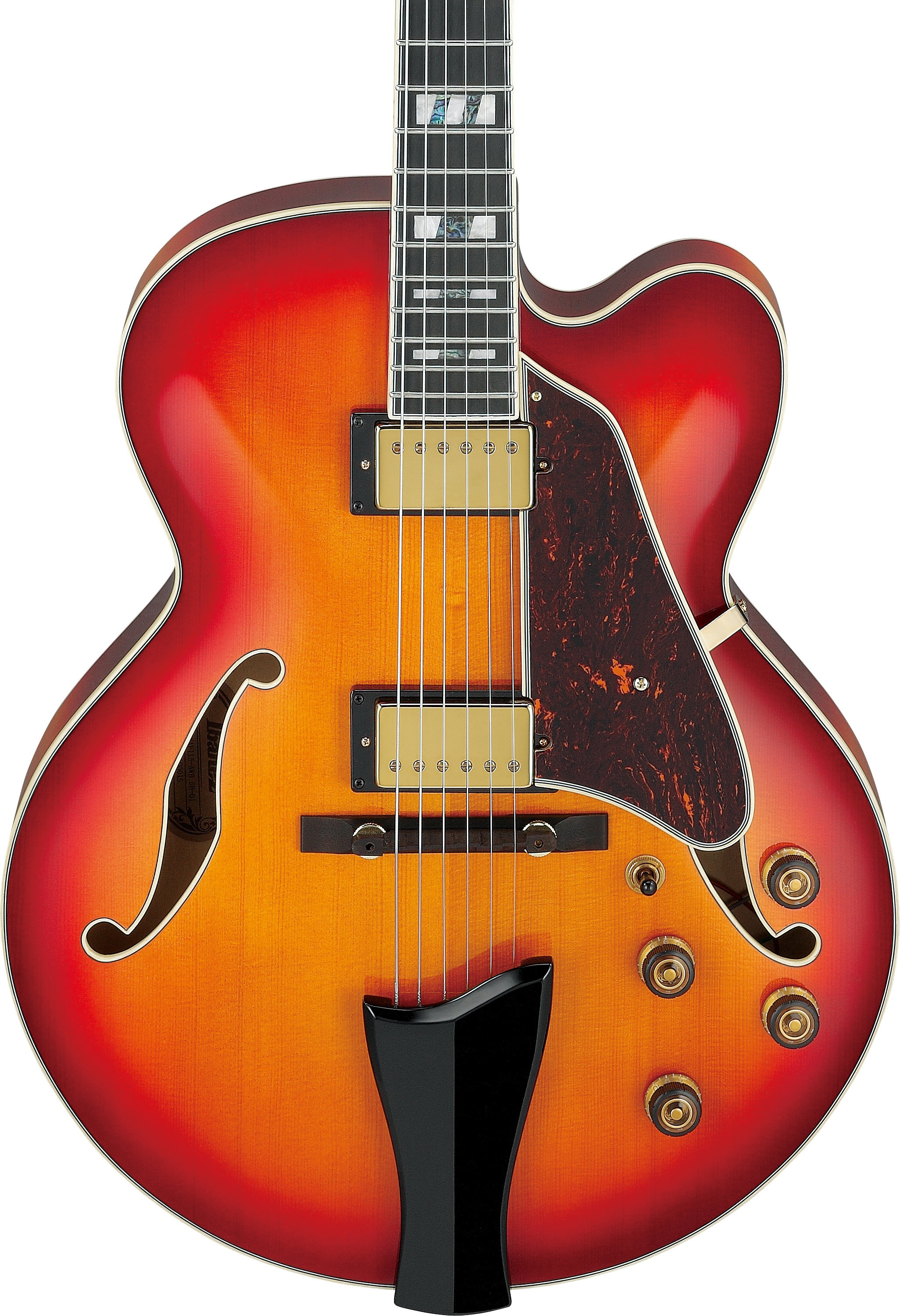 Ibanez AF115-AWB (obrázek 3)