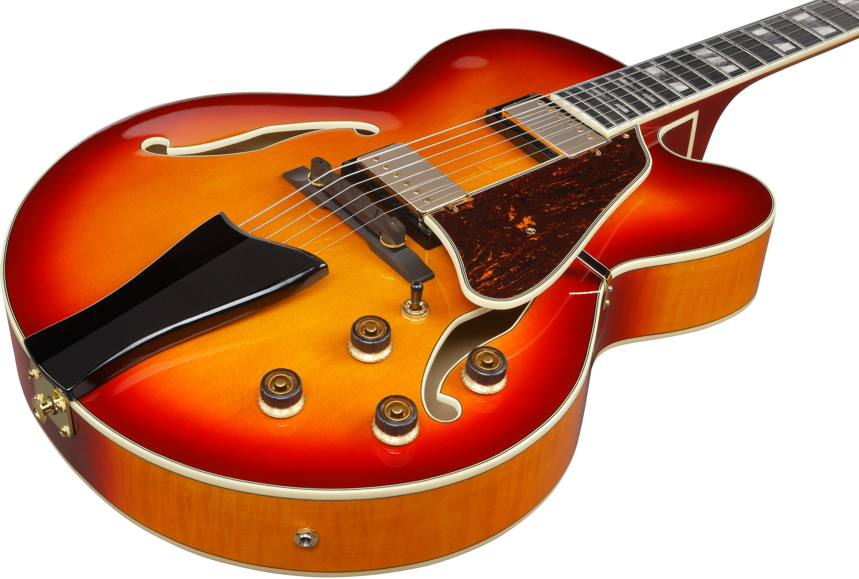 Ibanez AF115-AWB (obrázek 4)