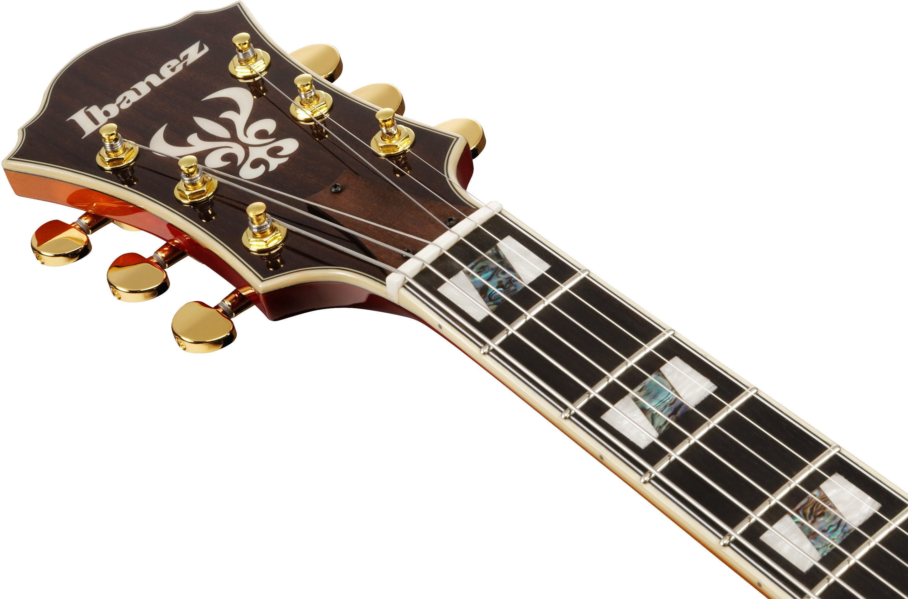 Ibanez AF115-AWB (obrázek 5)