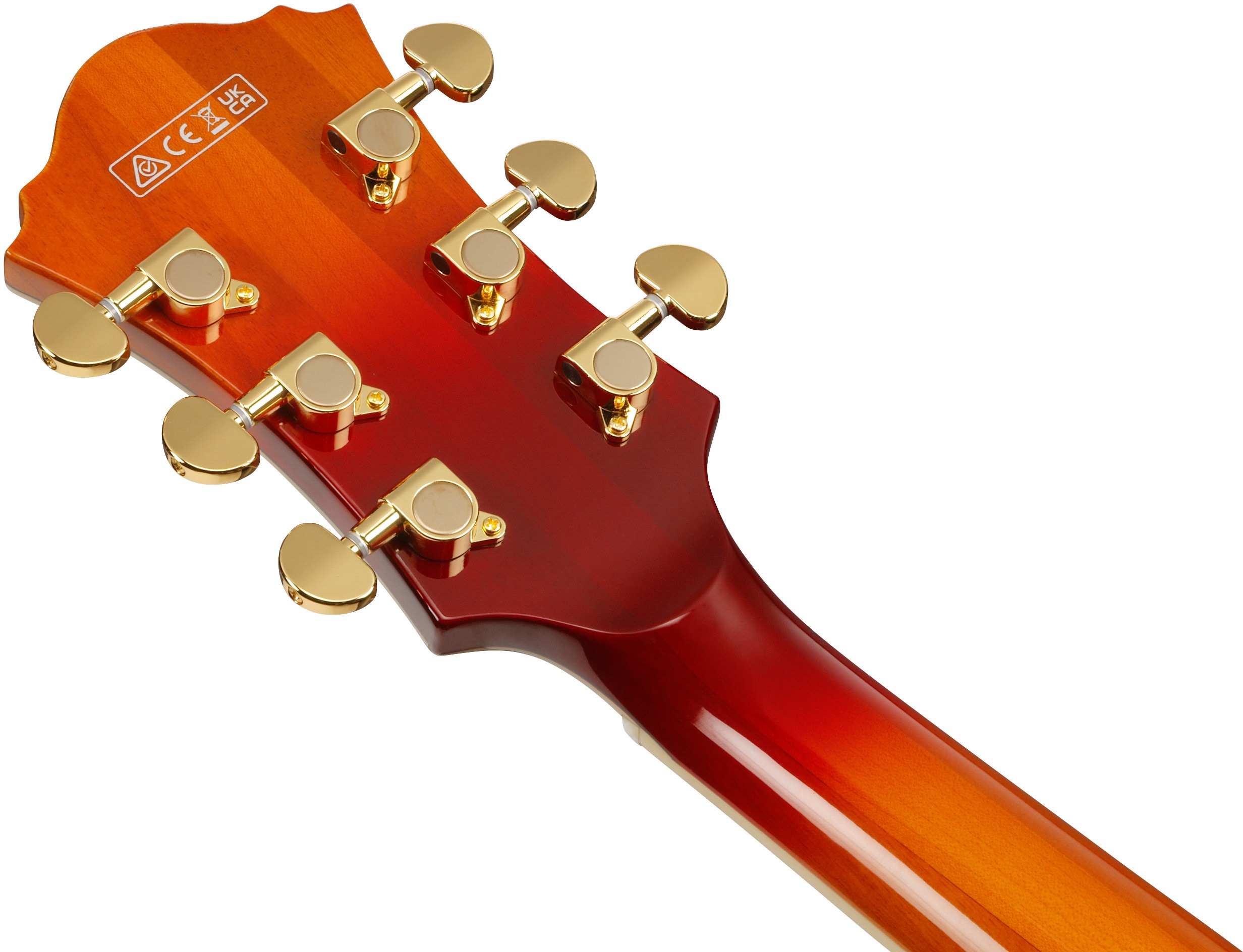 Ibanez AF115-AWB (obrázek 6)