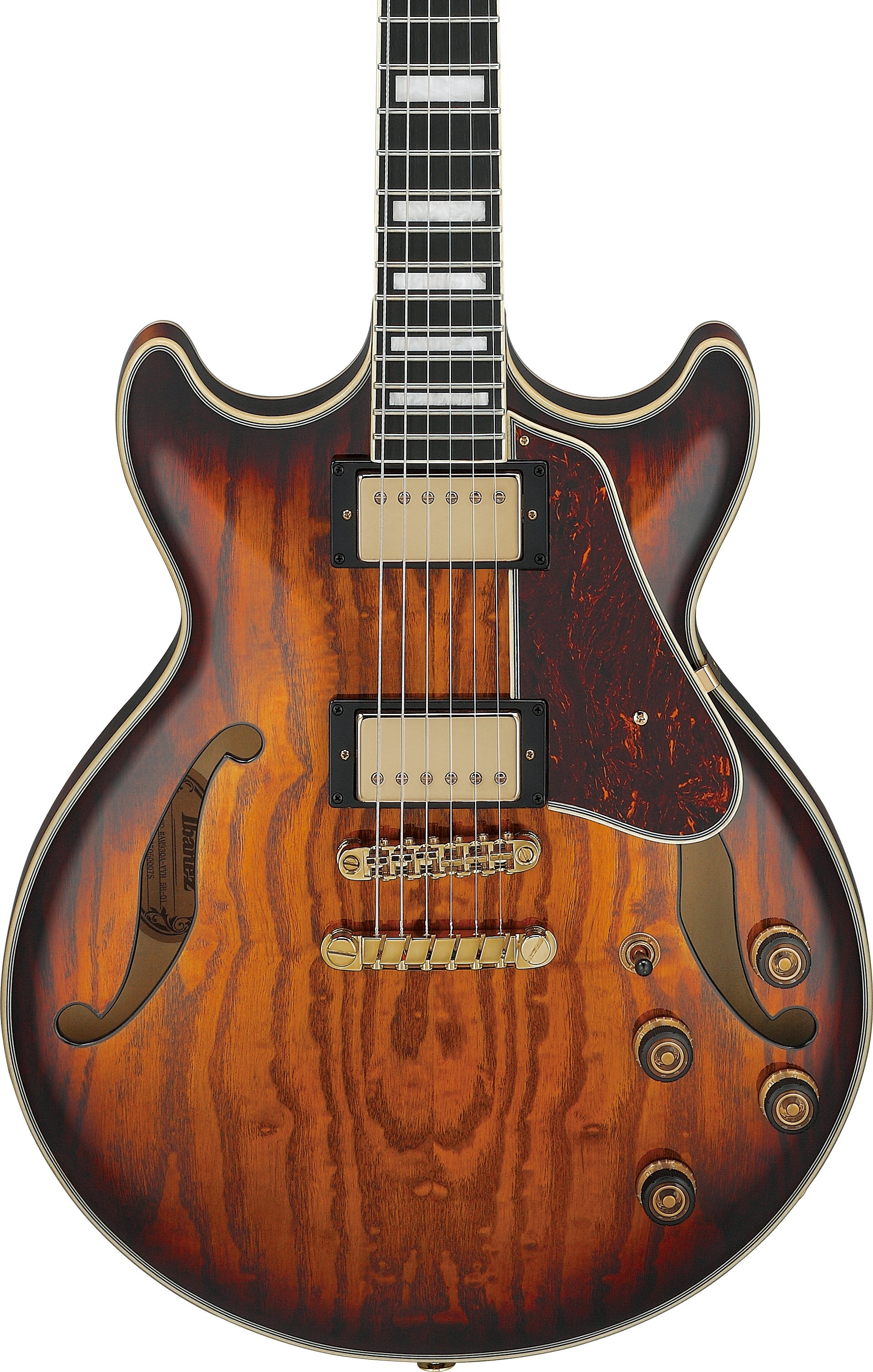 Ibanez AM93QA-VVH (obrázek 3)