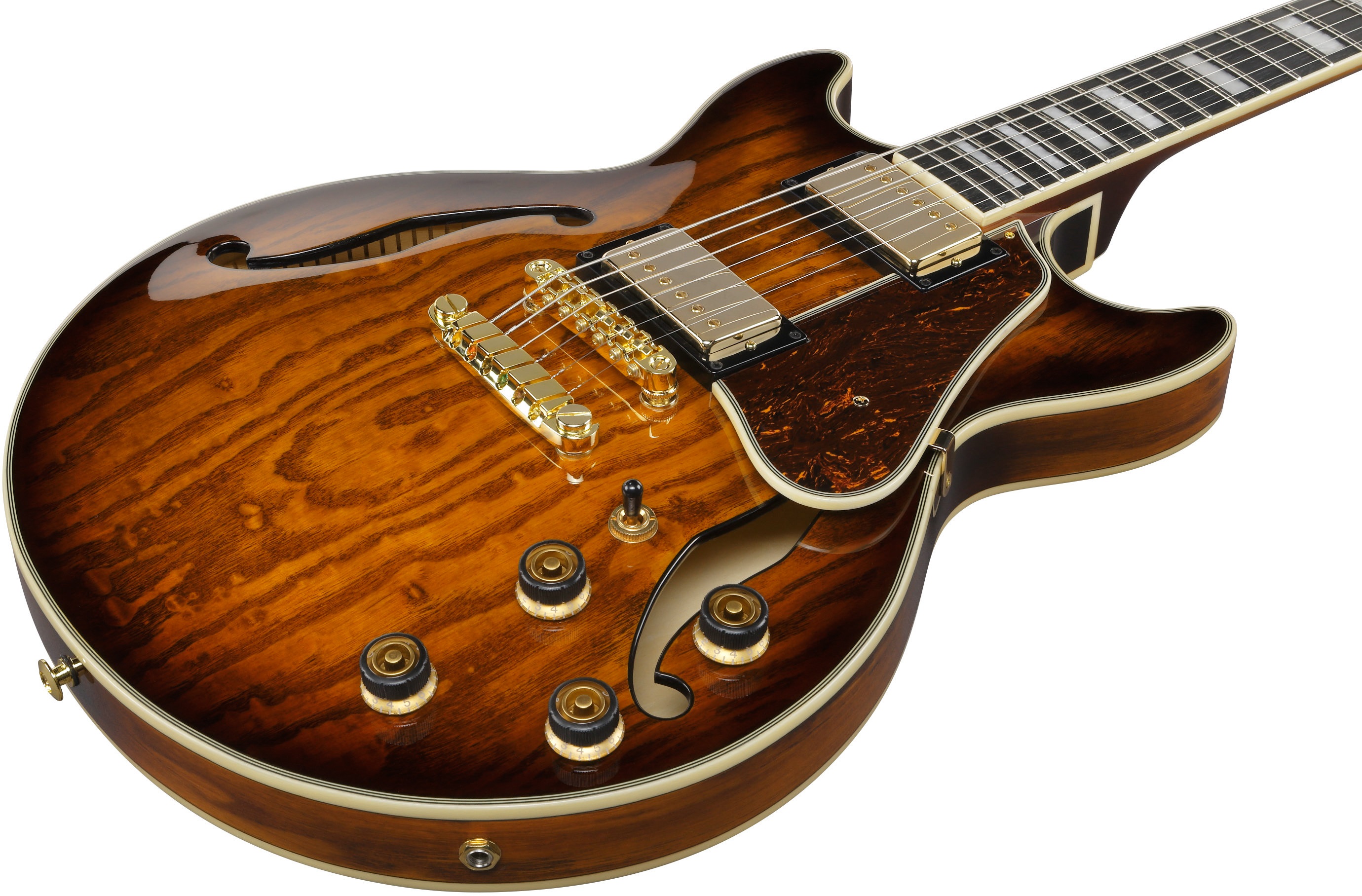 Ibanez AM93QA-VVH (obrázek 4)