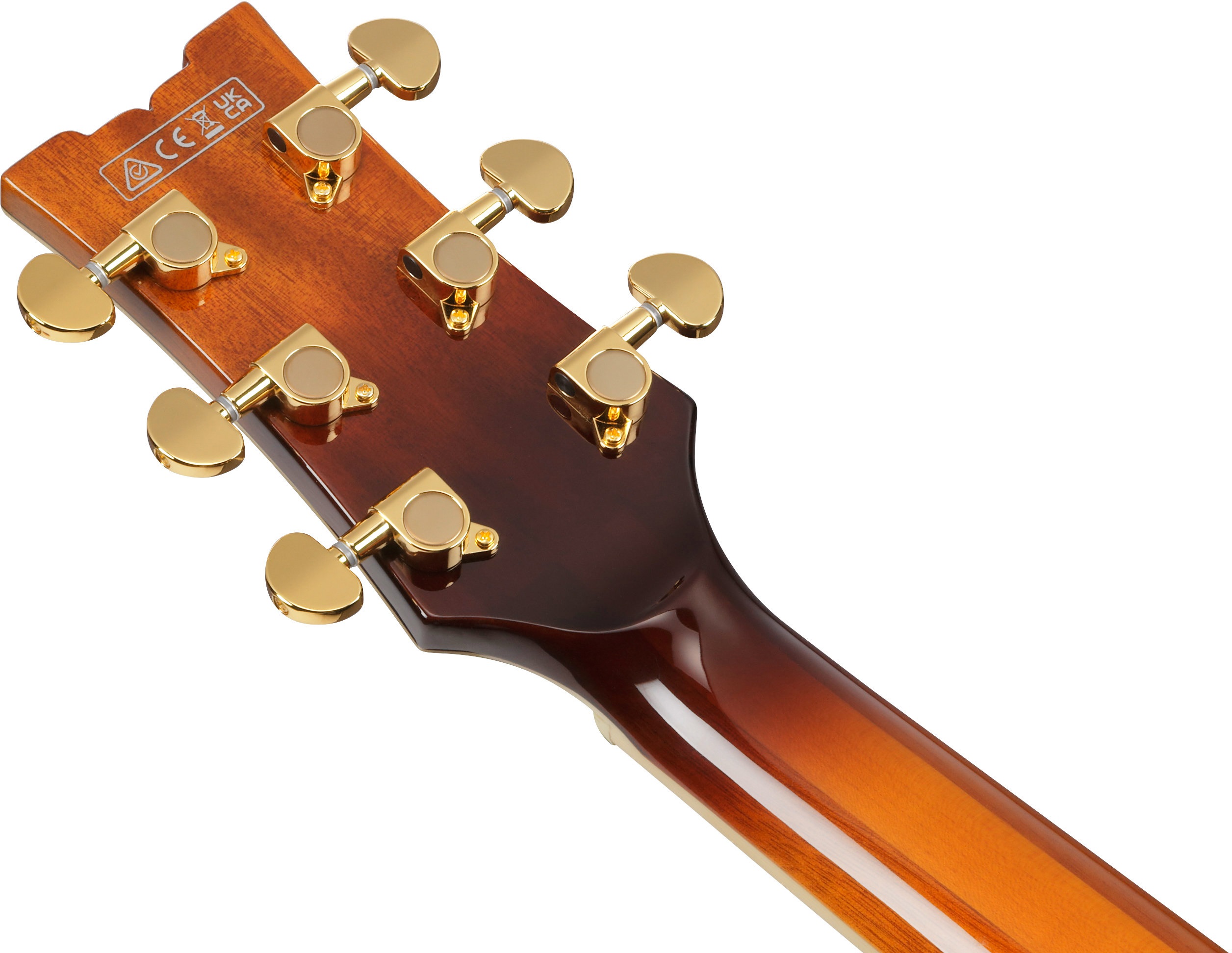 Ibanez AM93QA-VVH (obrázek 6)