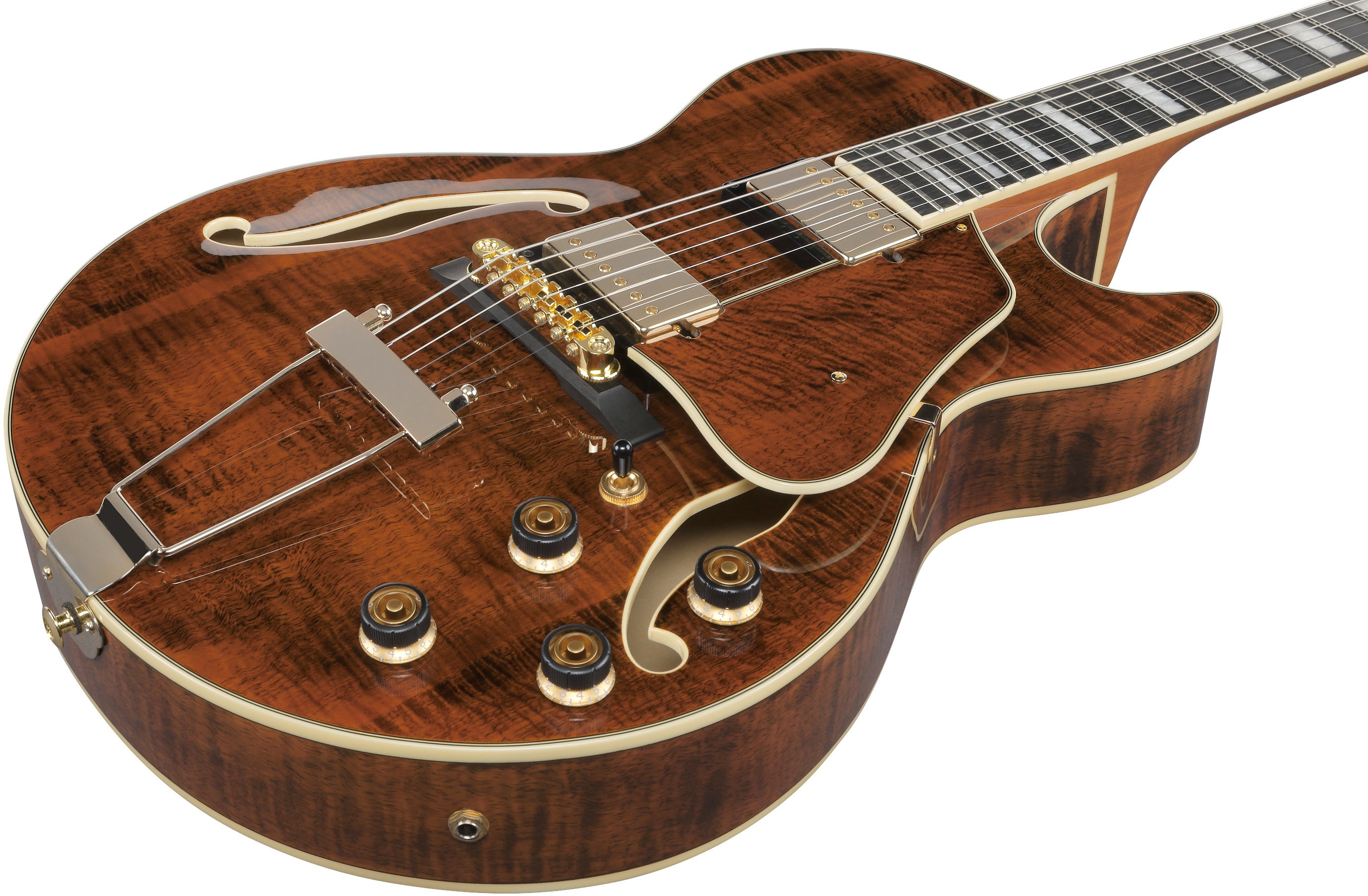 Ibanez AG95MG-DA (obrázek 4)