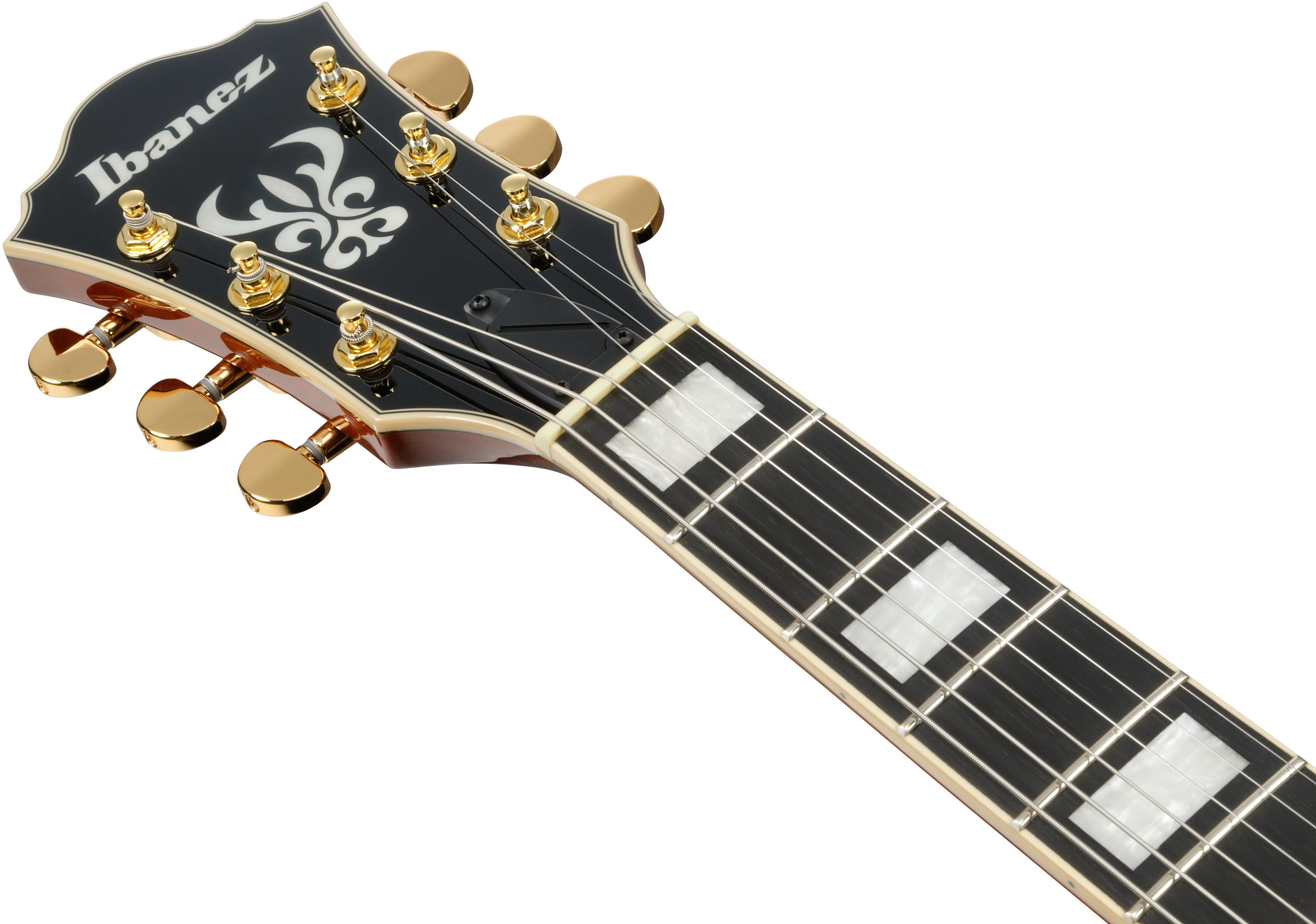 Ibanez AG95MG-DA (obrázek 5)