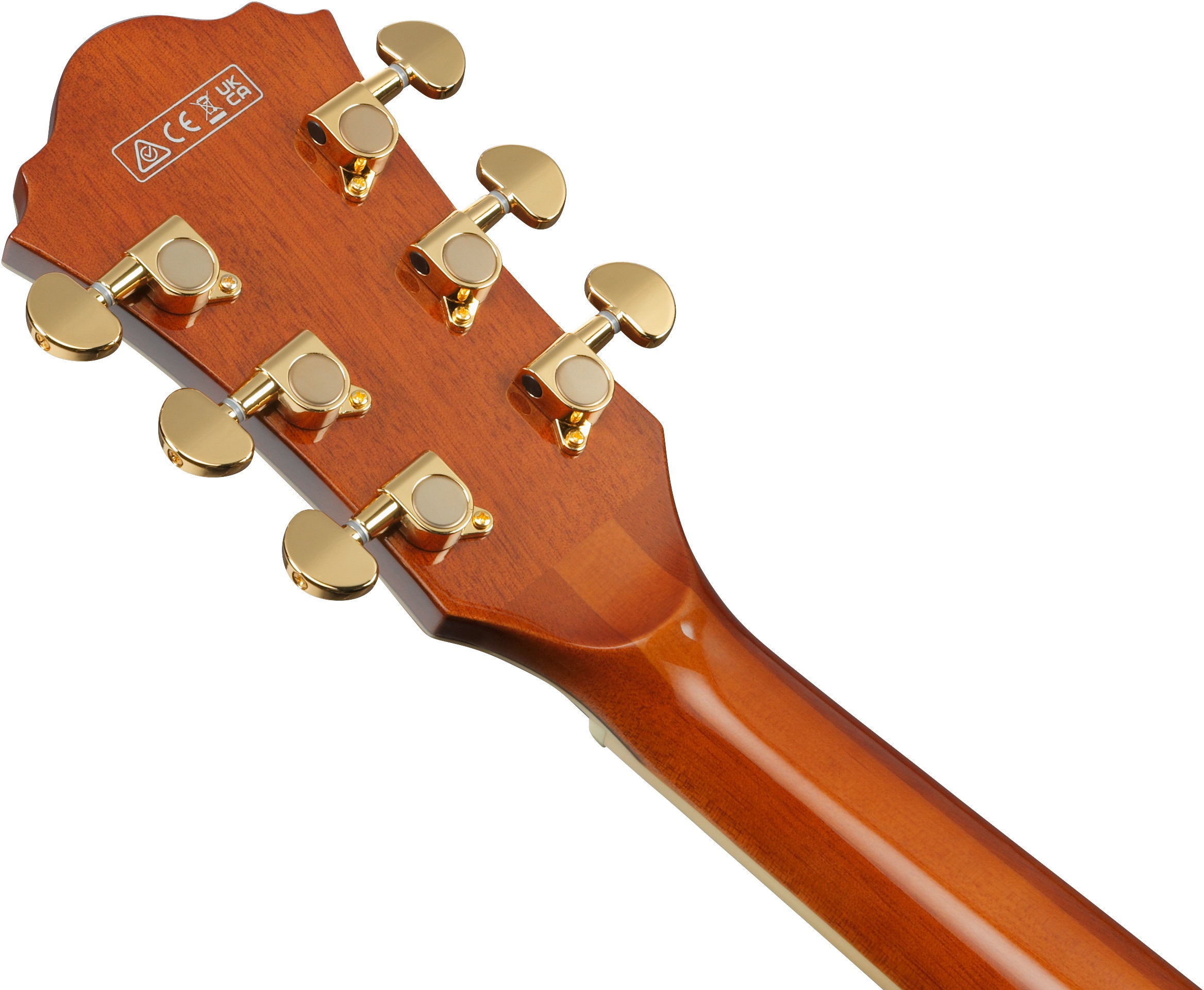 Ibanez AG95MG-DA (obrázek 6)