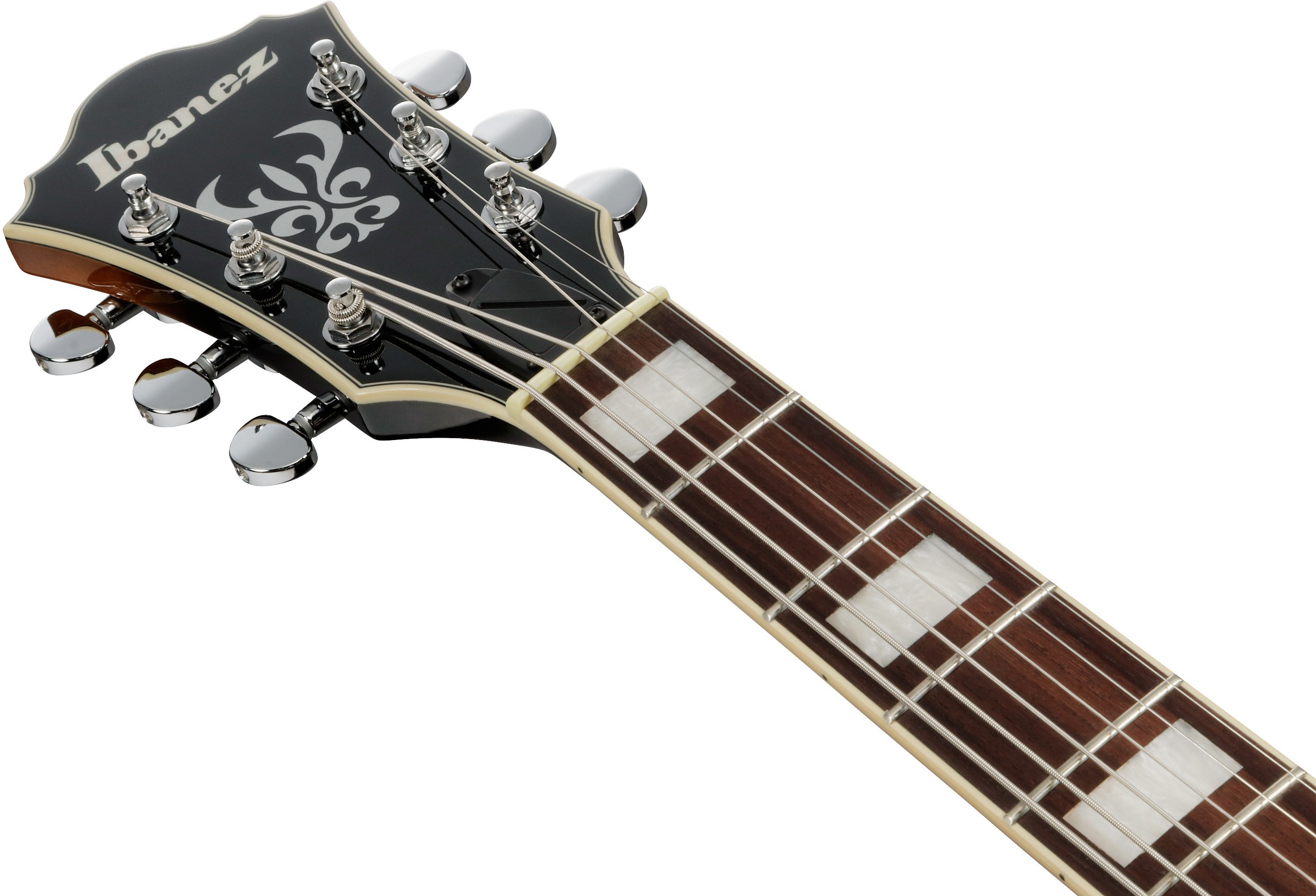 Ibanez AS7328-TBC (obrázek 5)