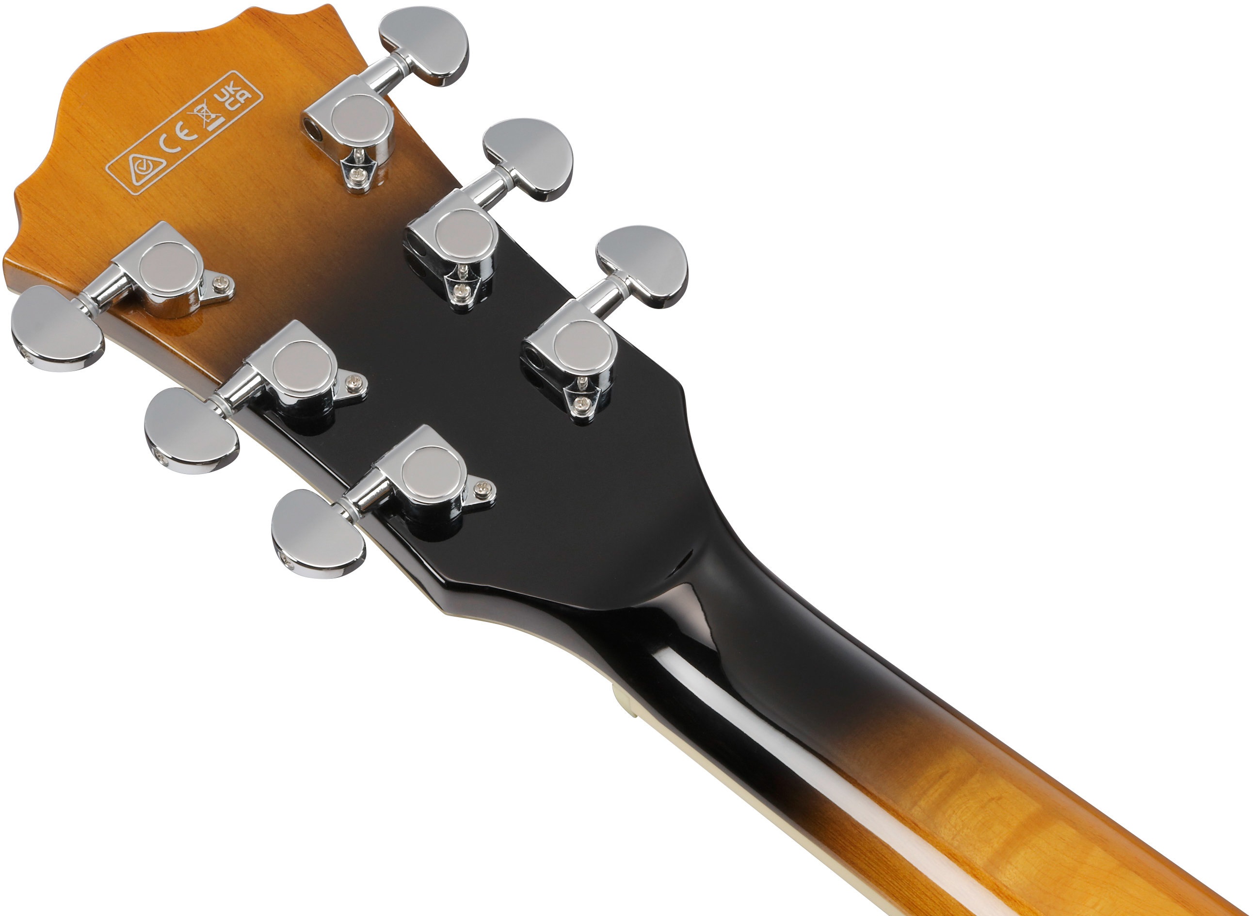 Ibanez AS7328-TBC (obrázek 6)