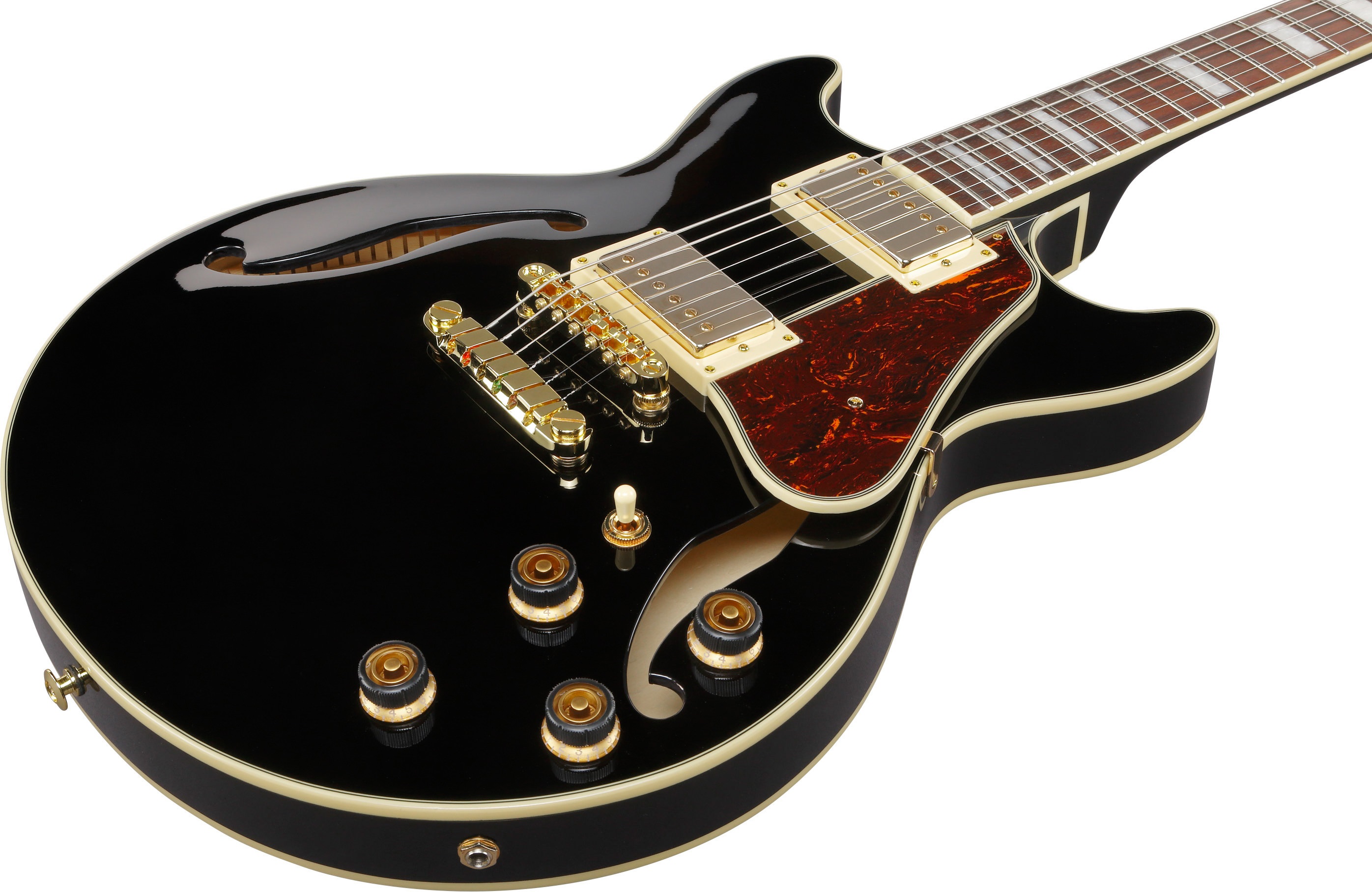 Ibanez AM73G-BK (obrázek 4)