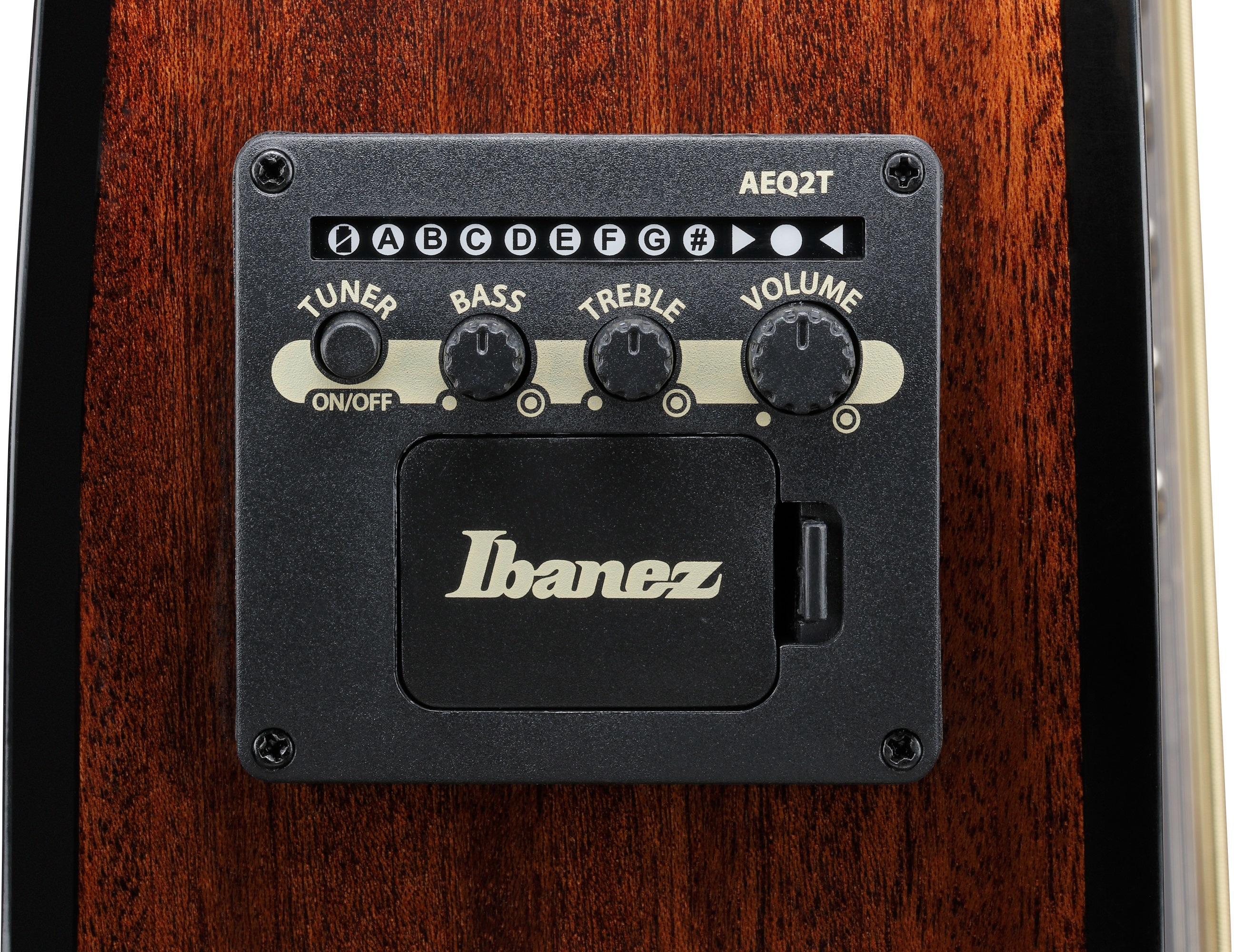 Ibanez AEWC16QA-TEH (obrázek 8)